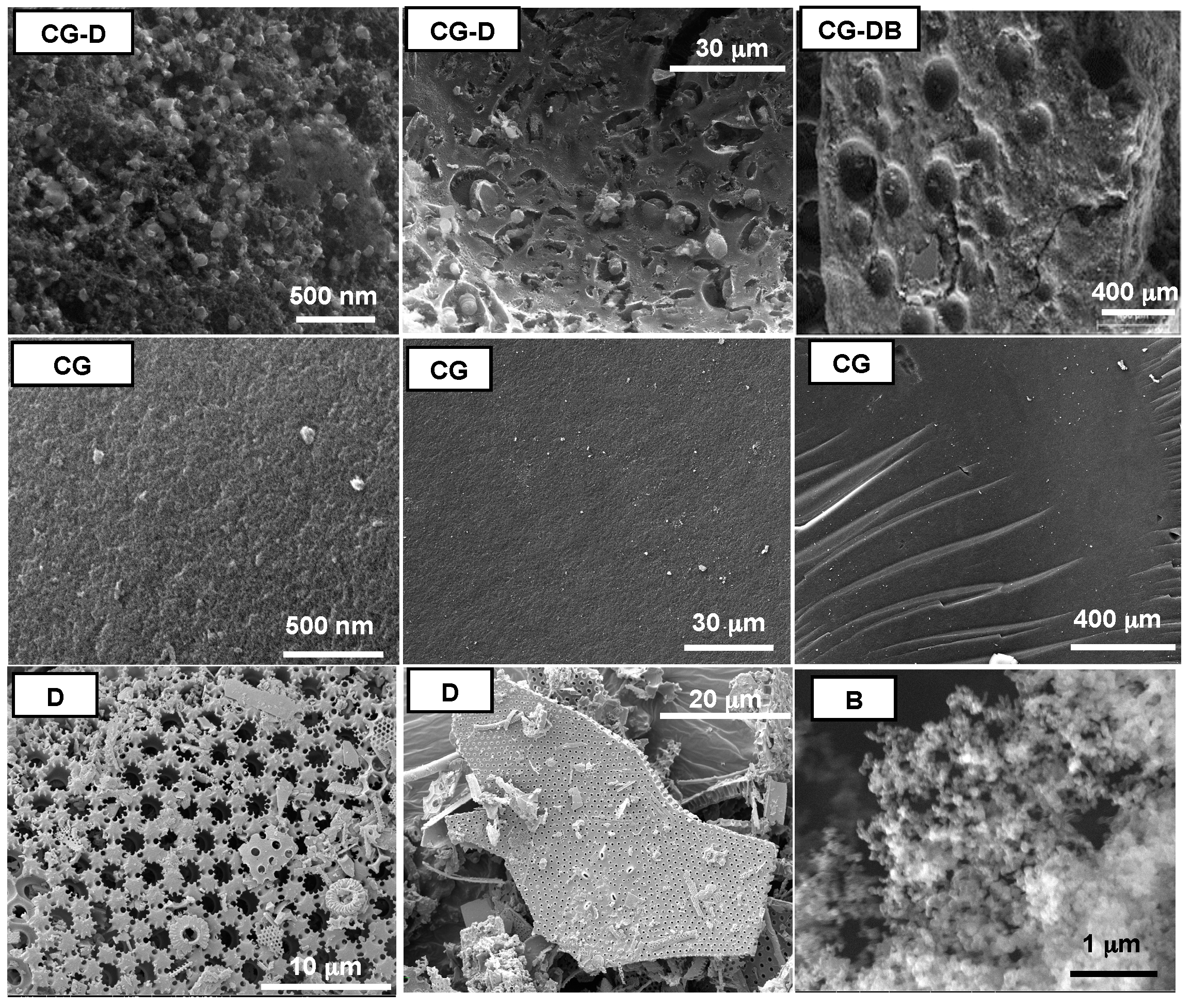 Gels 02 00004 g001 1024