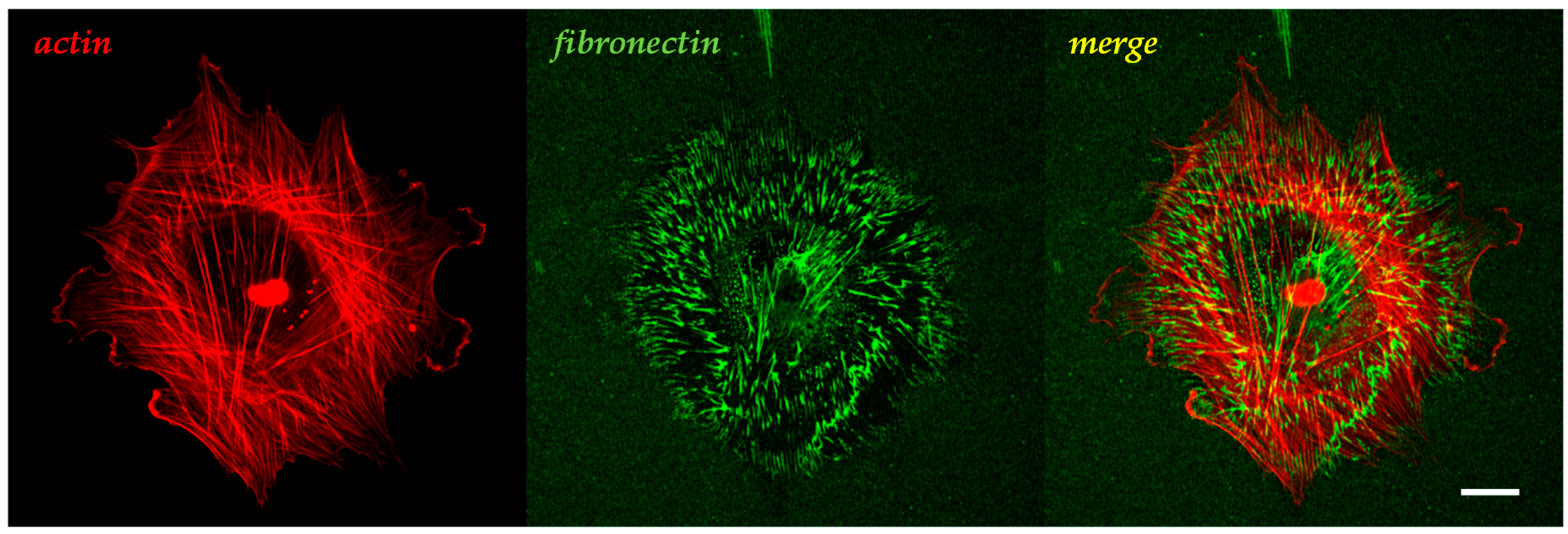 Gels 02 00012 g001 1024