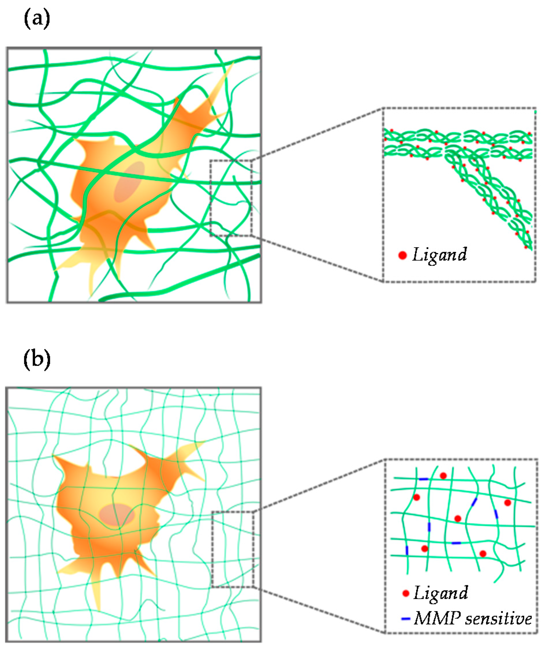 Gels 02 00012 g002 1024