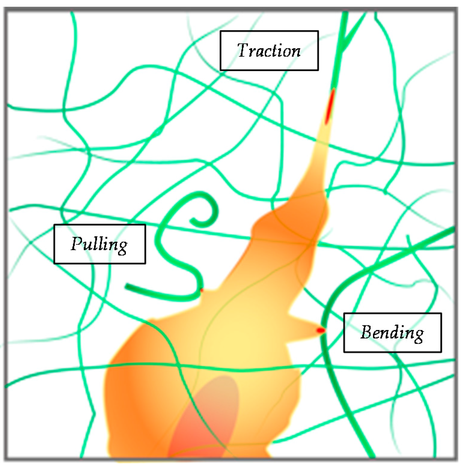 Gels 02 00012 g003 1024