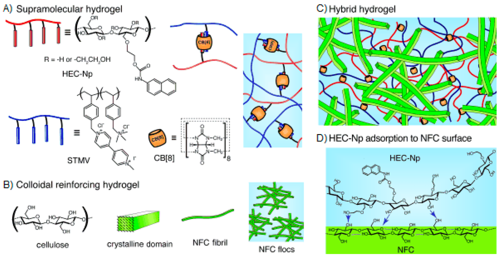 Self-Healing Supramolecular Hydrogels Based on Reversible Physical ...