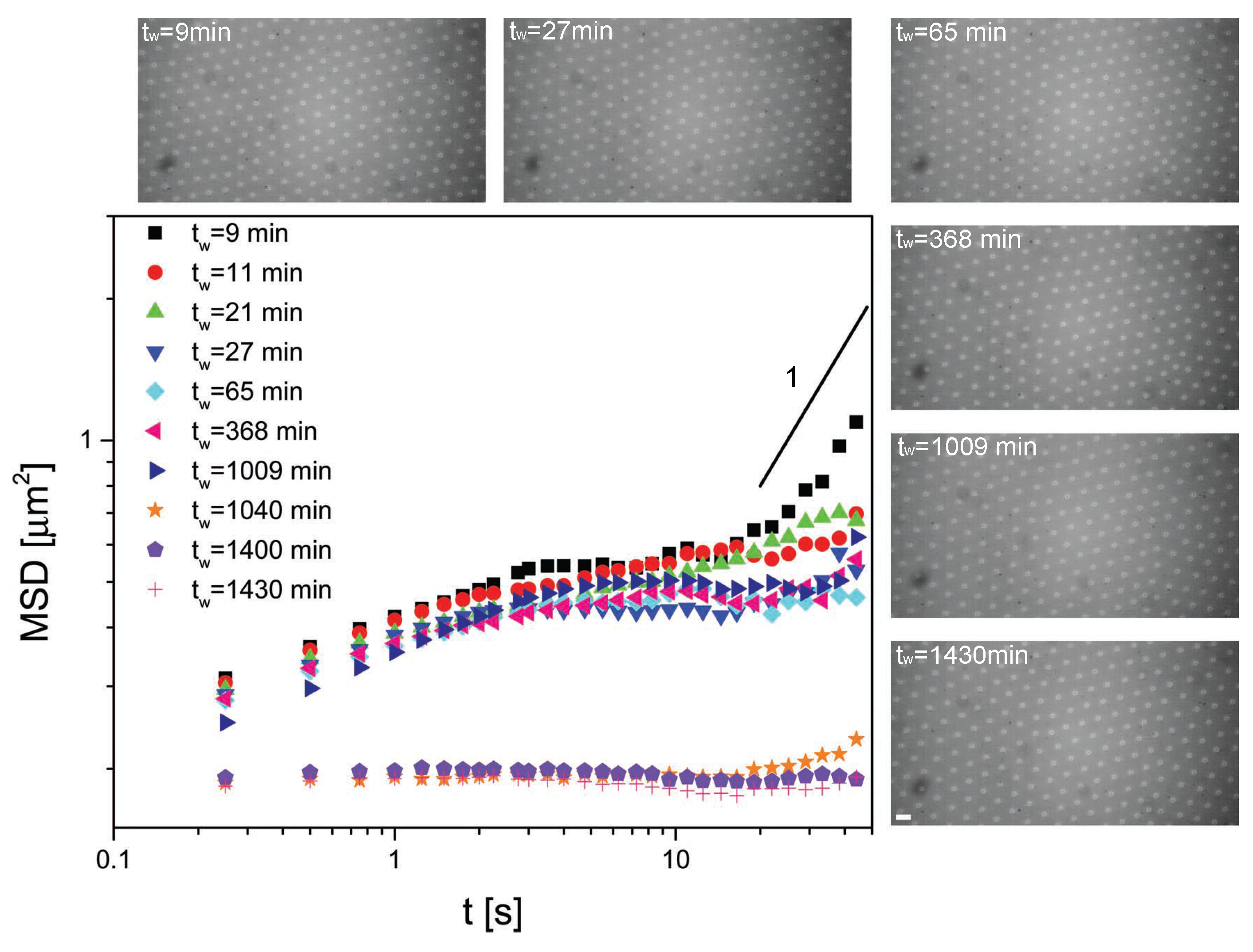 Gels 02 00019 g002 1024