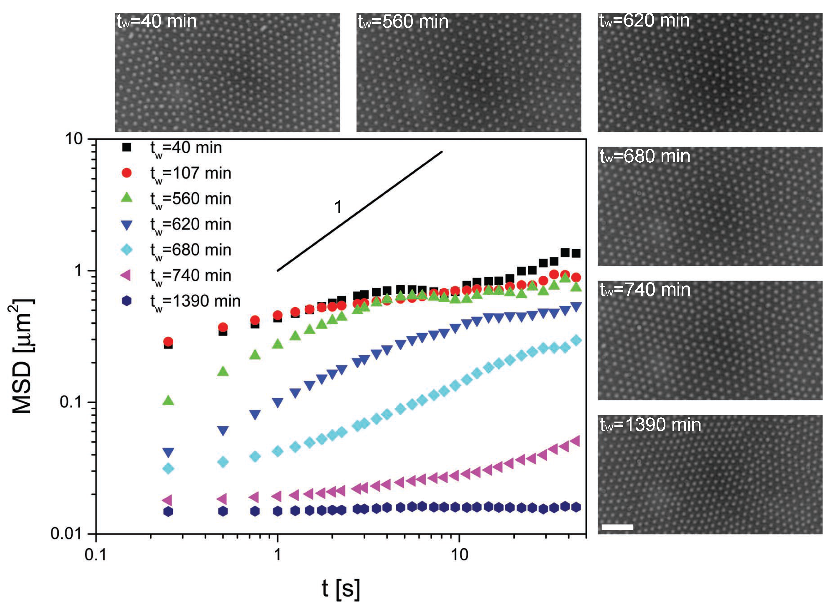Gels 02 00019 g003 1024