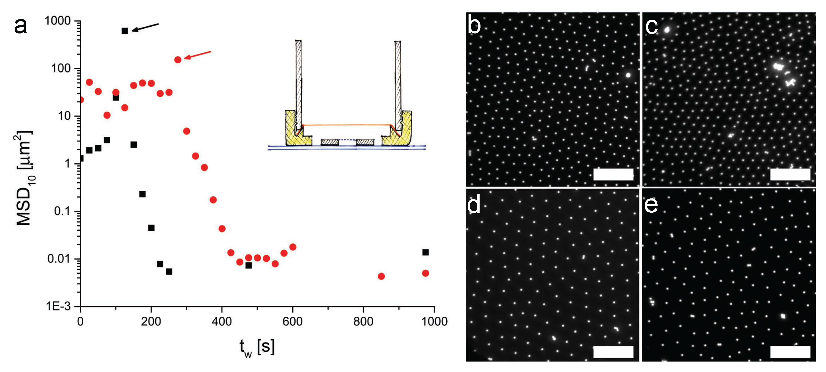 Gels 02 00019 g005 1024