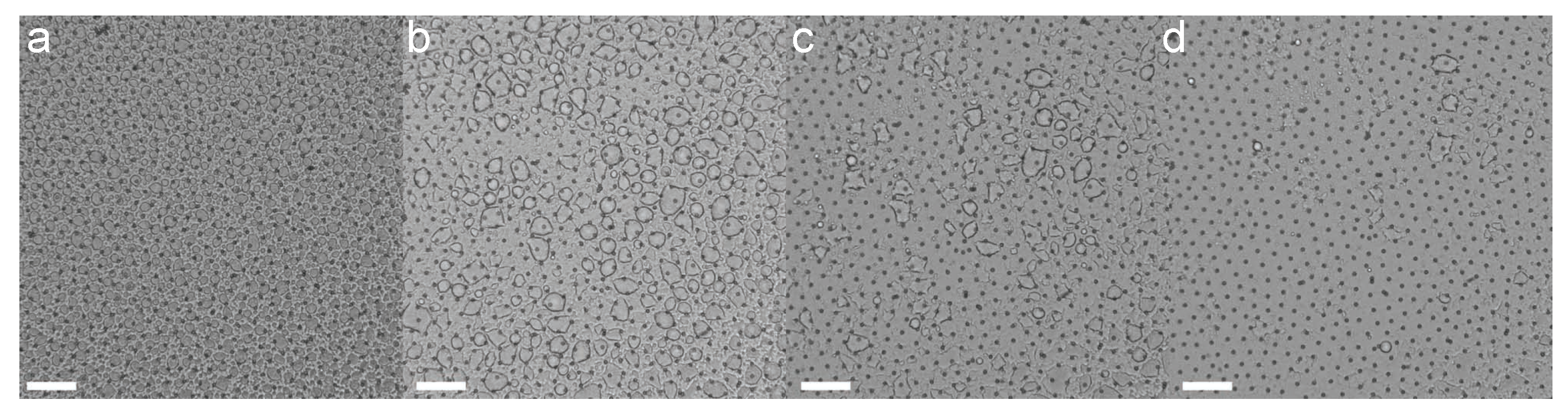 Gels 02 00019 g006 1024