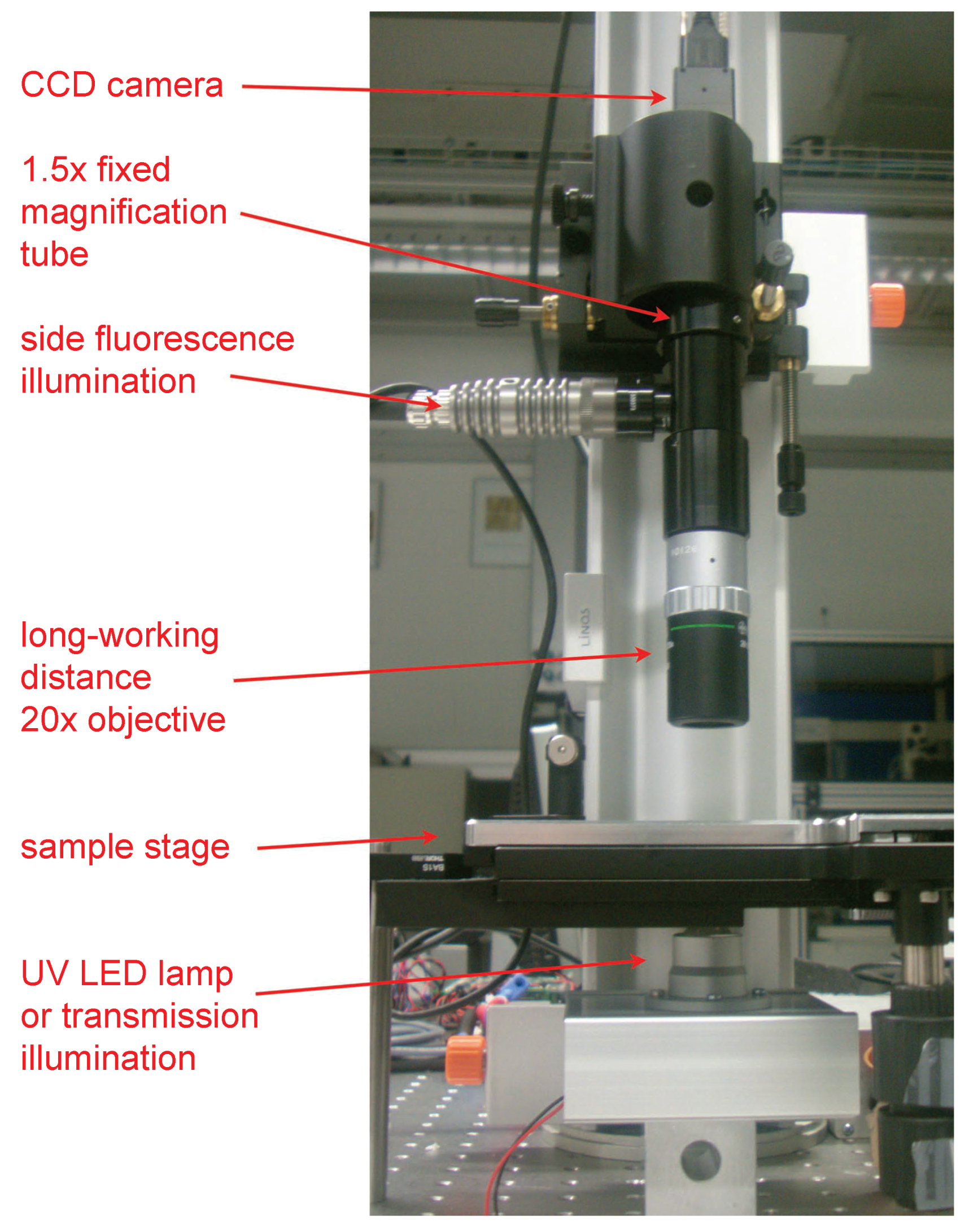 Gels 02 00019 g008 1024