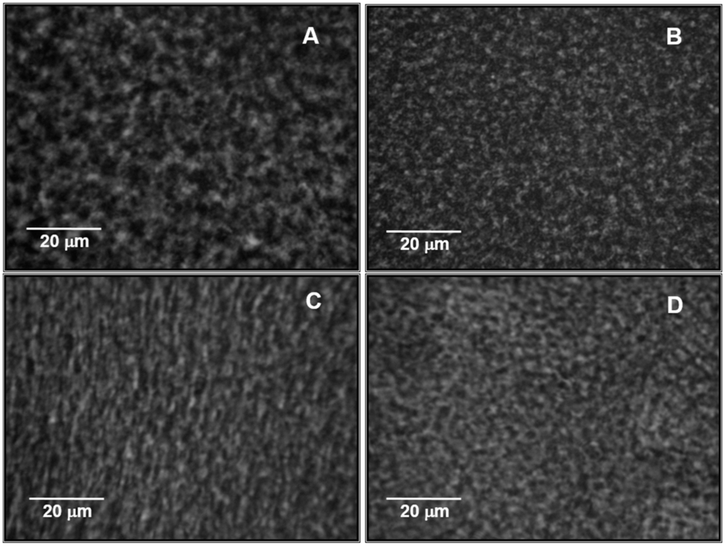 Gels Free Full Text Effect Of Xanthan Gum On The Rheological Behavior And Microstructure Of Sodium Caseinate Acid Gels Html