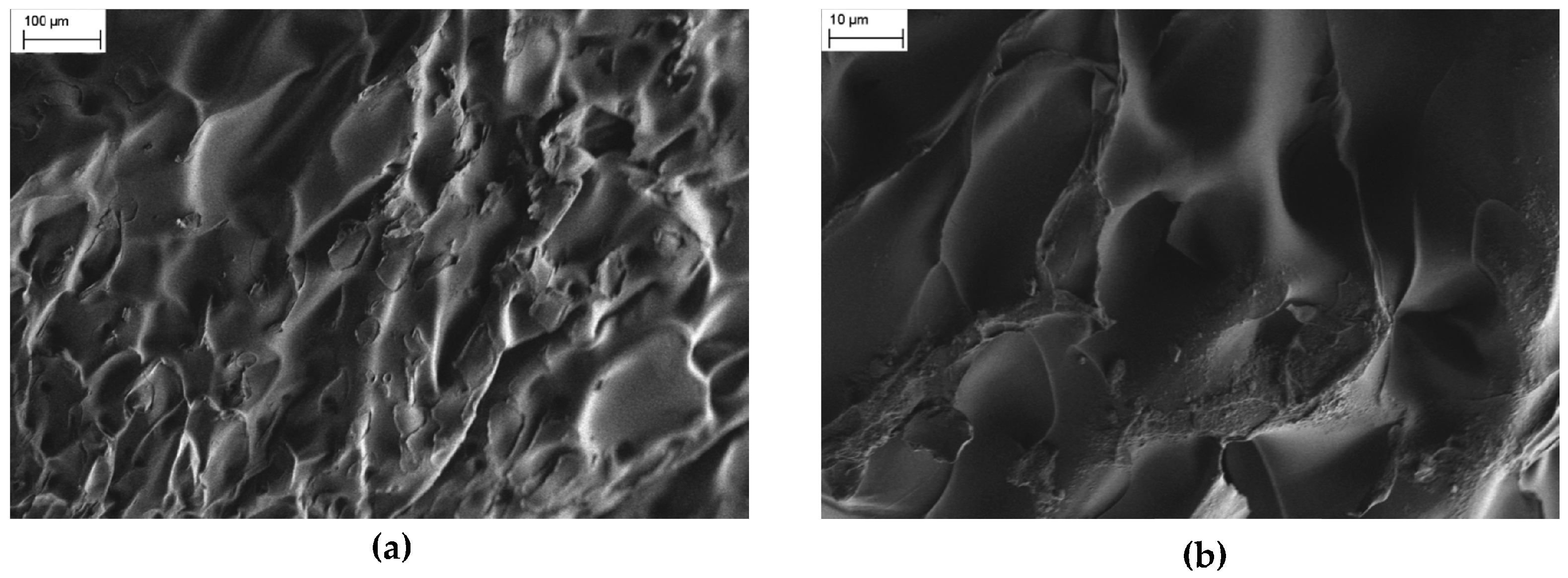 Gels 02 00030 g002 550