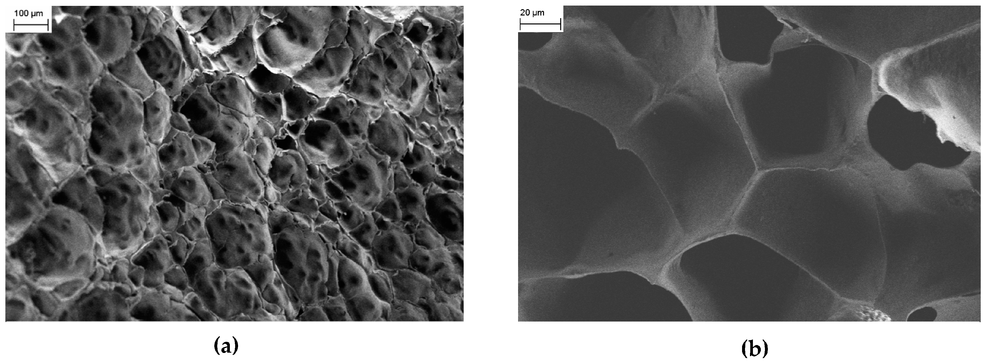 Gels 02 00030 g004 550