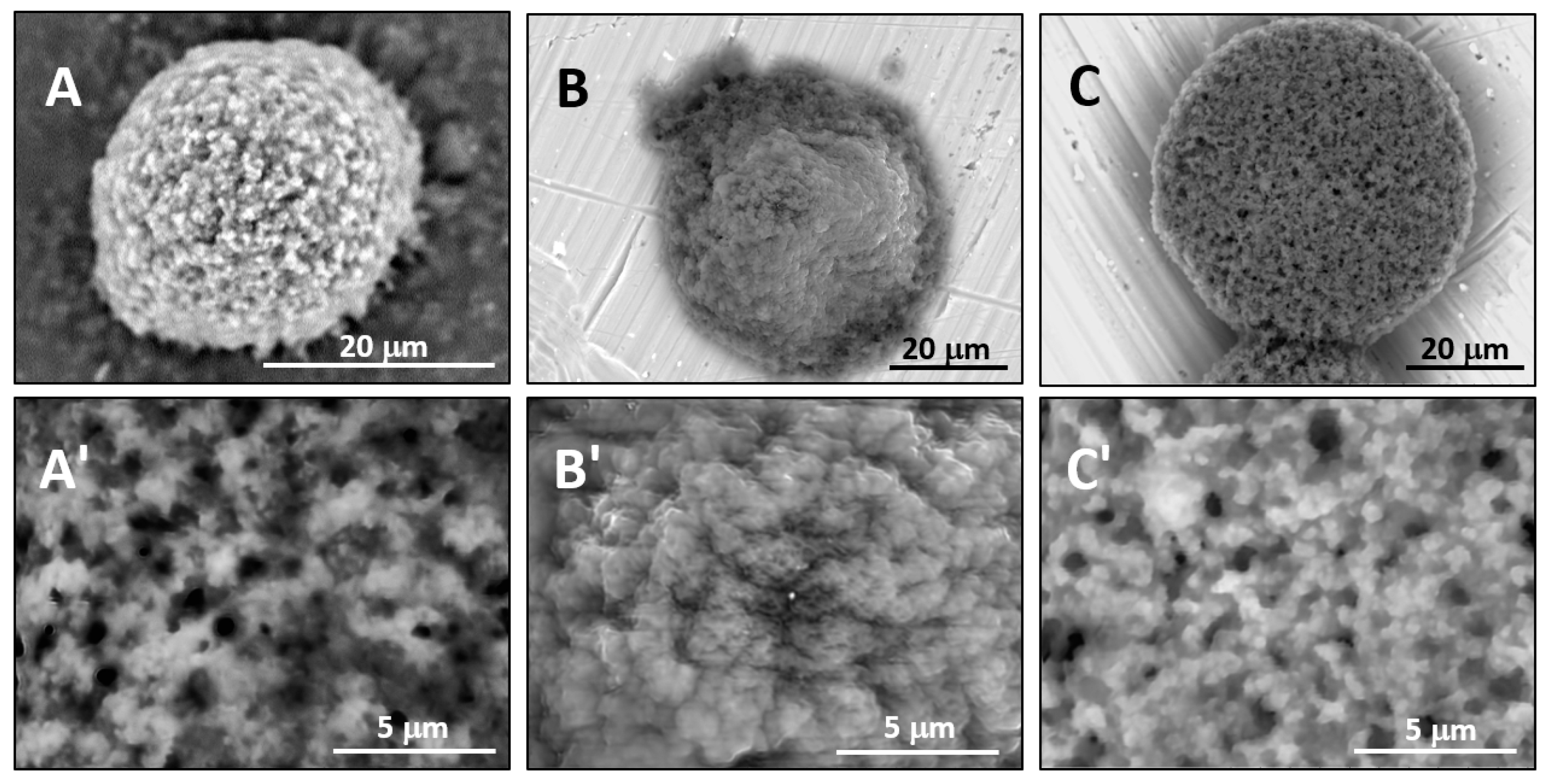 Gels 03 00007 g005 550