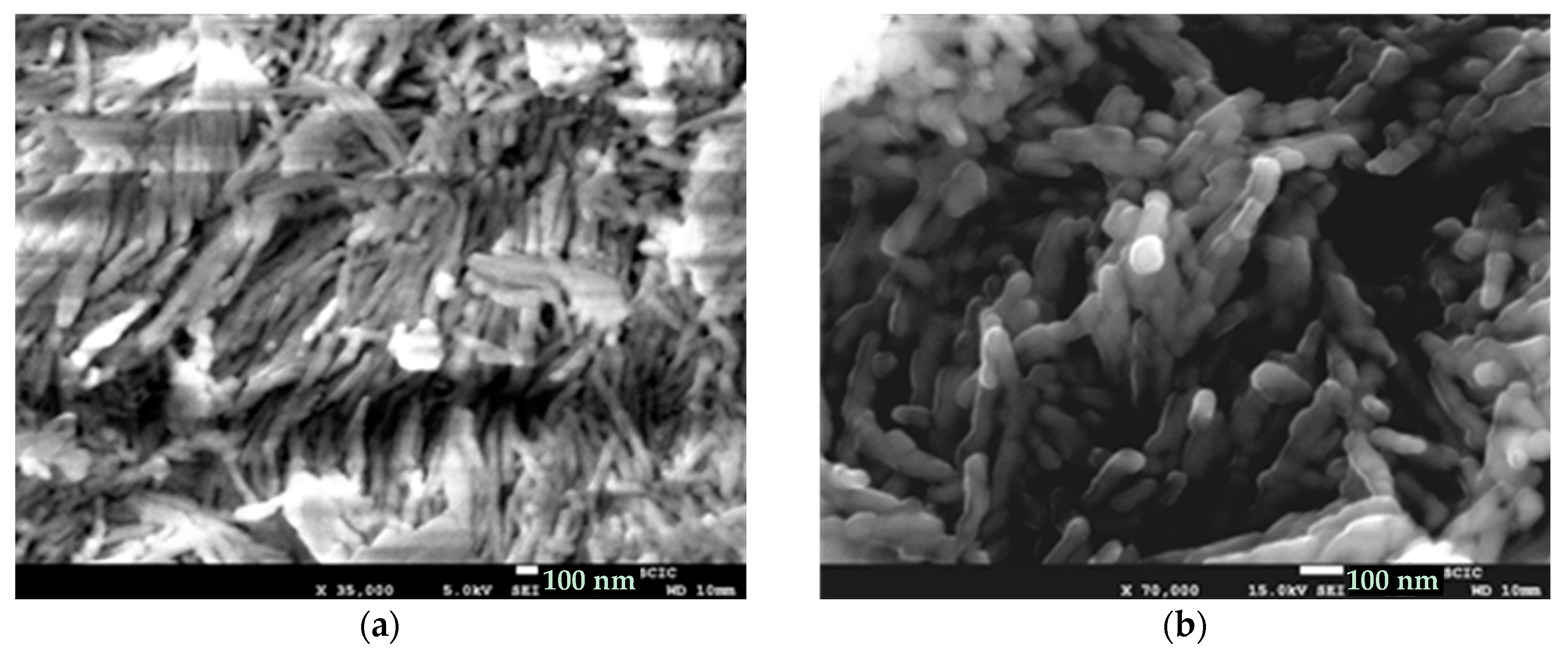 Gels 03 00023 g011 550