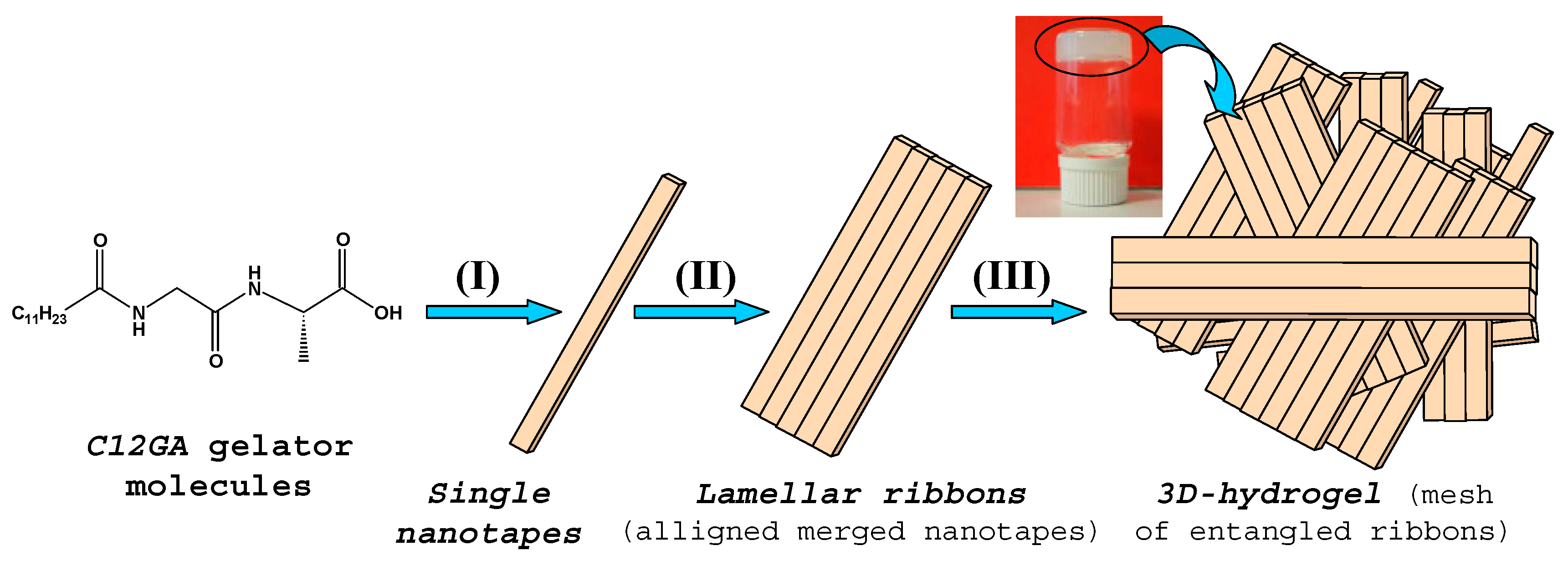 Gels 03 00023 sch001 550