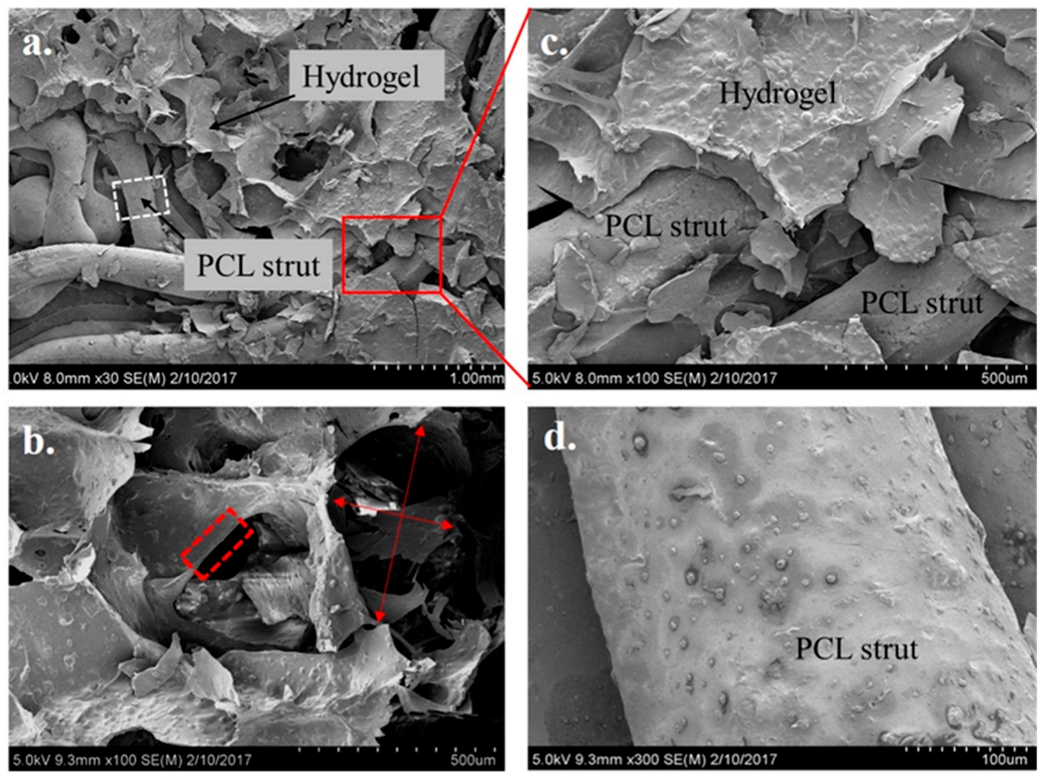 Gels 03 00026 g002 550