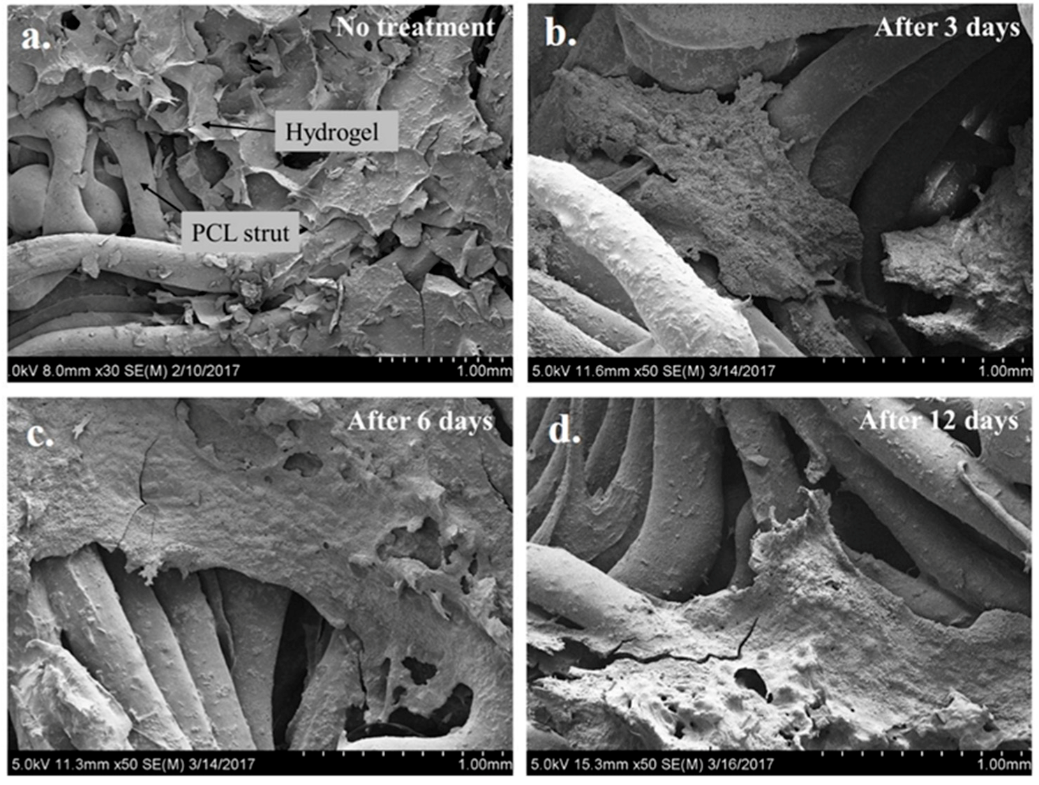 Gels 03 00026 g005 550