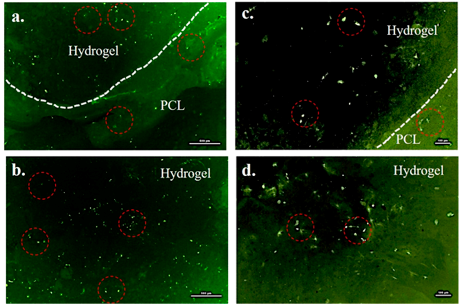 Gels 03 00026 g007 550