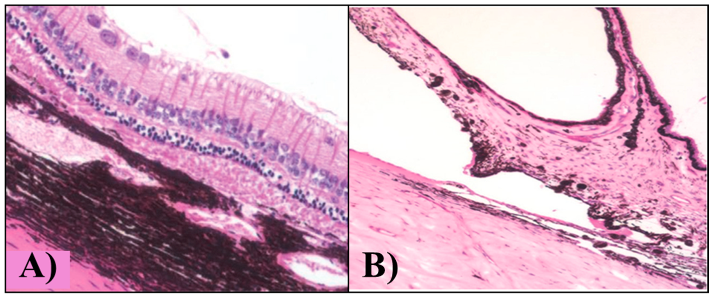 Gels 03 00036 g008 Gels 03 00036 g008