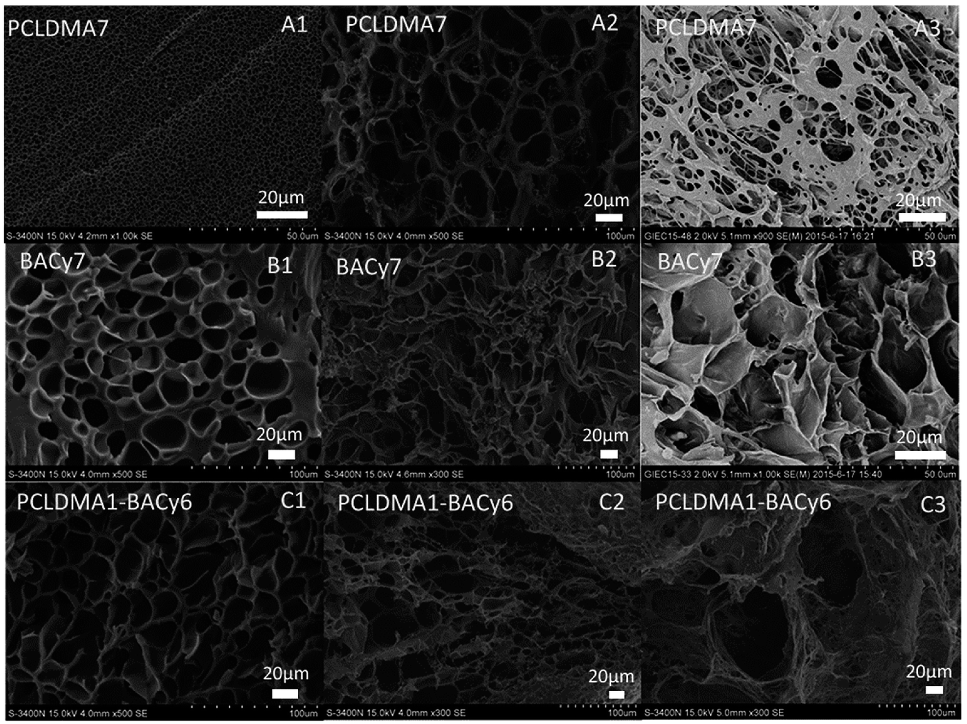 Gels 03 00036 g012 Gels 03 00036 g012