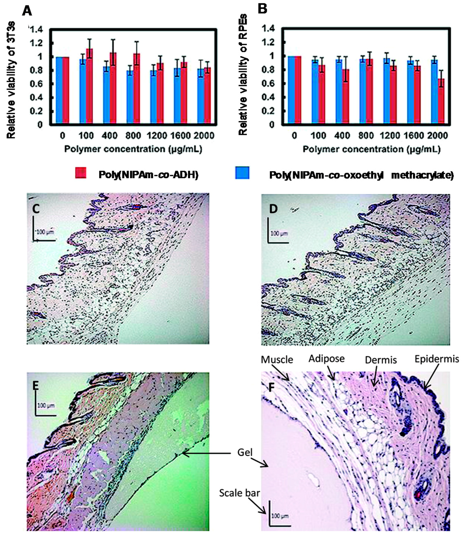 Gels 03 00036 g015 Gels 03 00036 g015