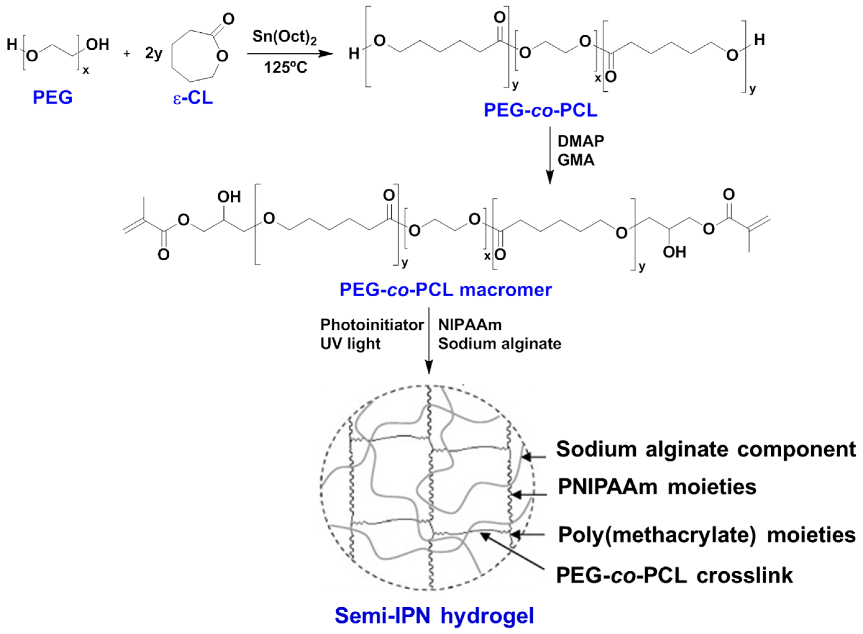 Gels 03 00036 g018 Gels 03 00036 g018