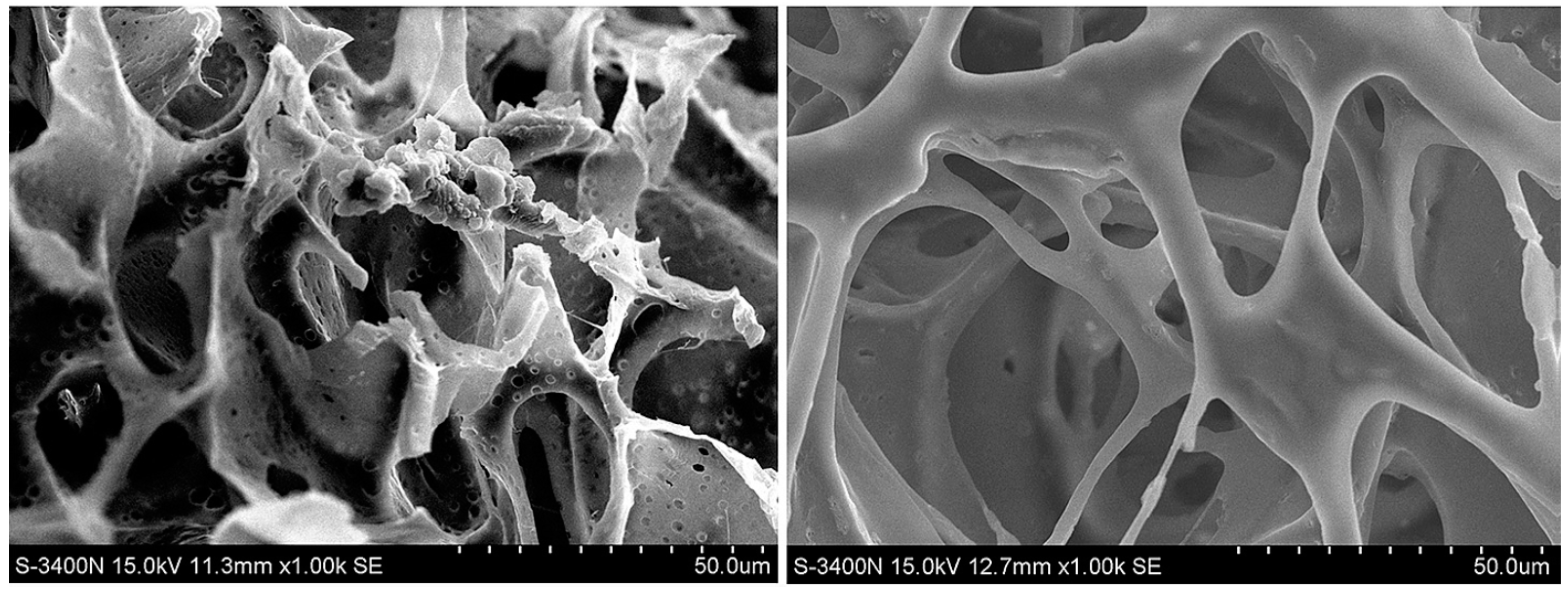 Gels 03 00036 g022 Gels 03 00036 g022