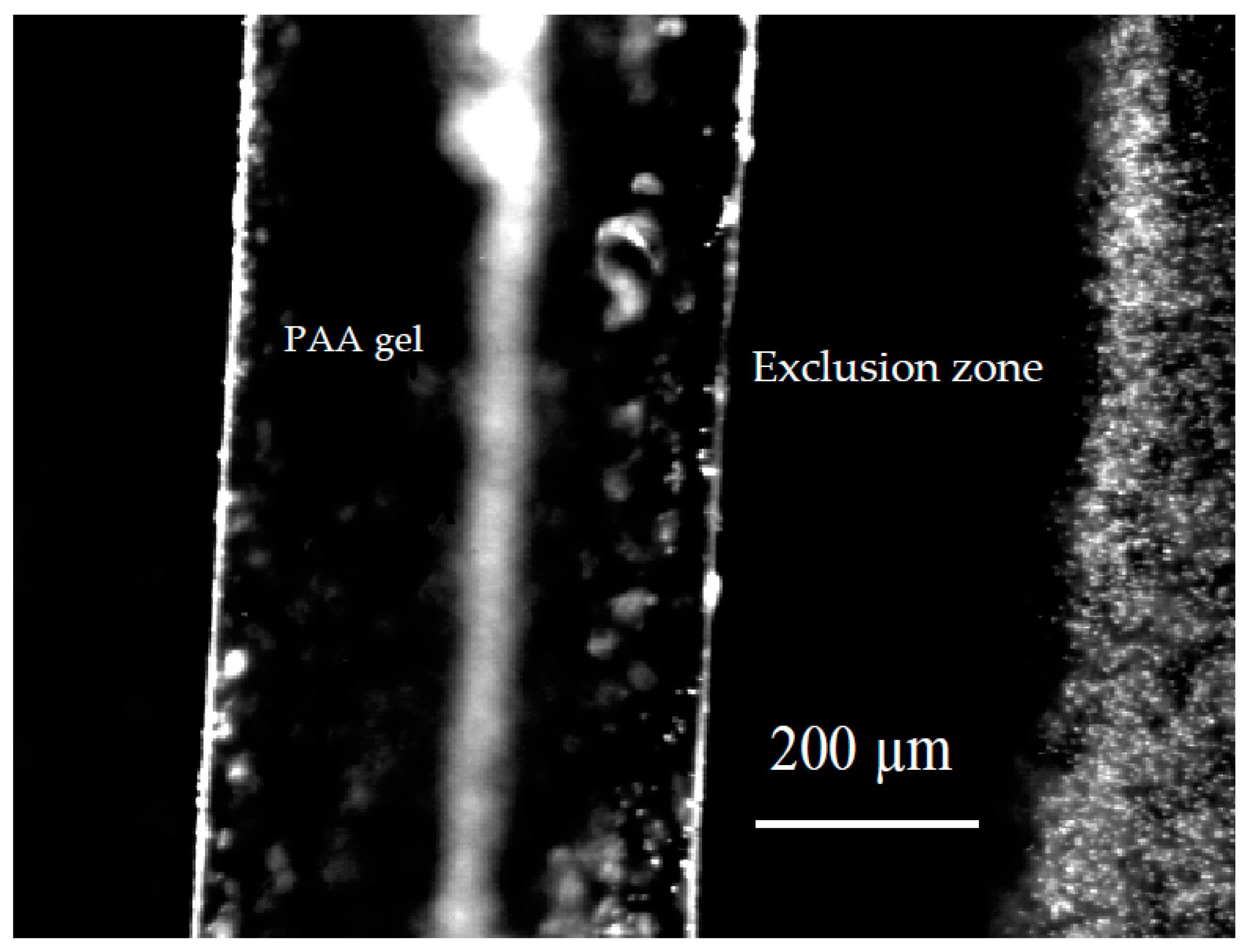 Gels 03 00043 g001