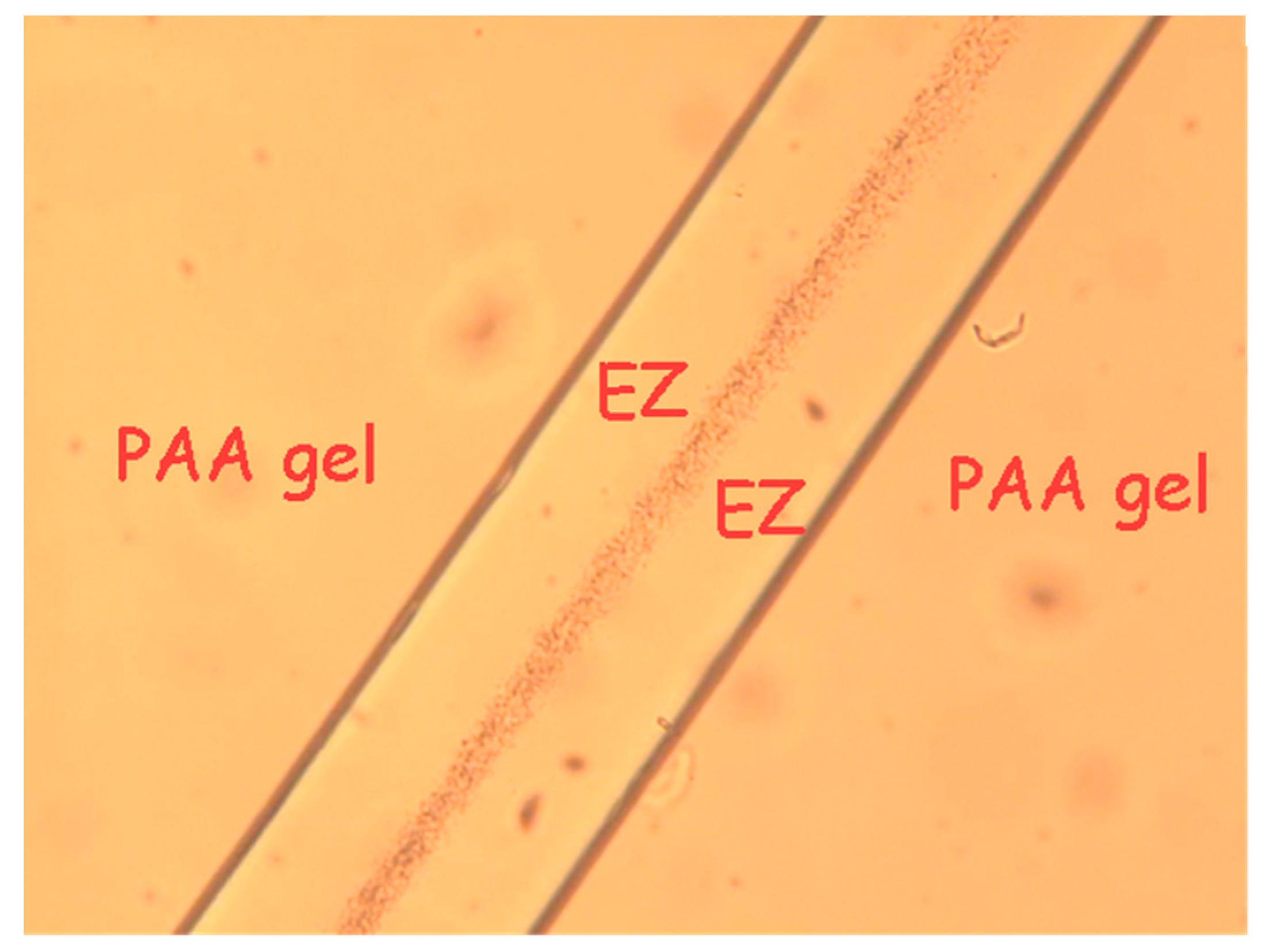 Gels 03 00043 g005