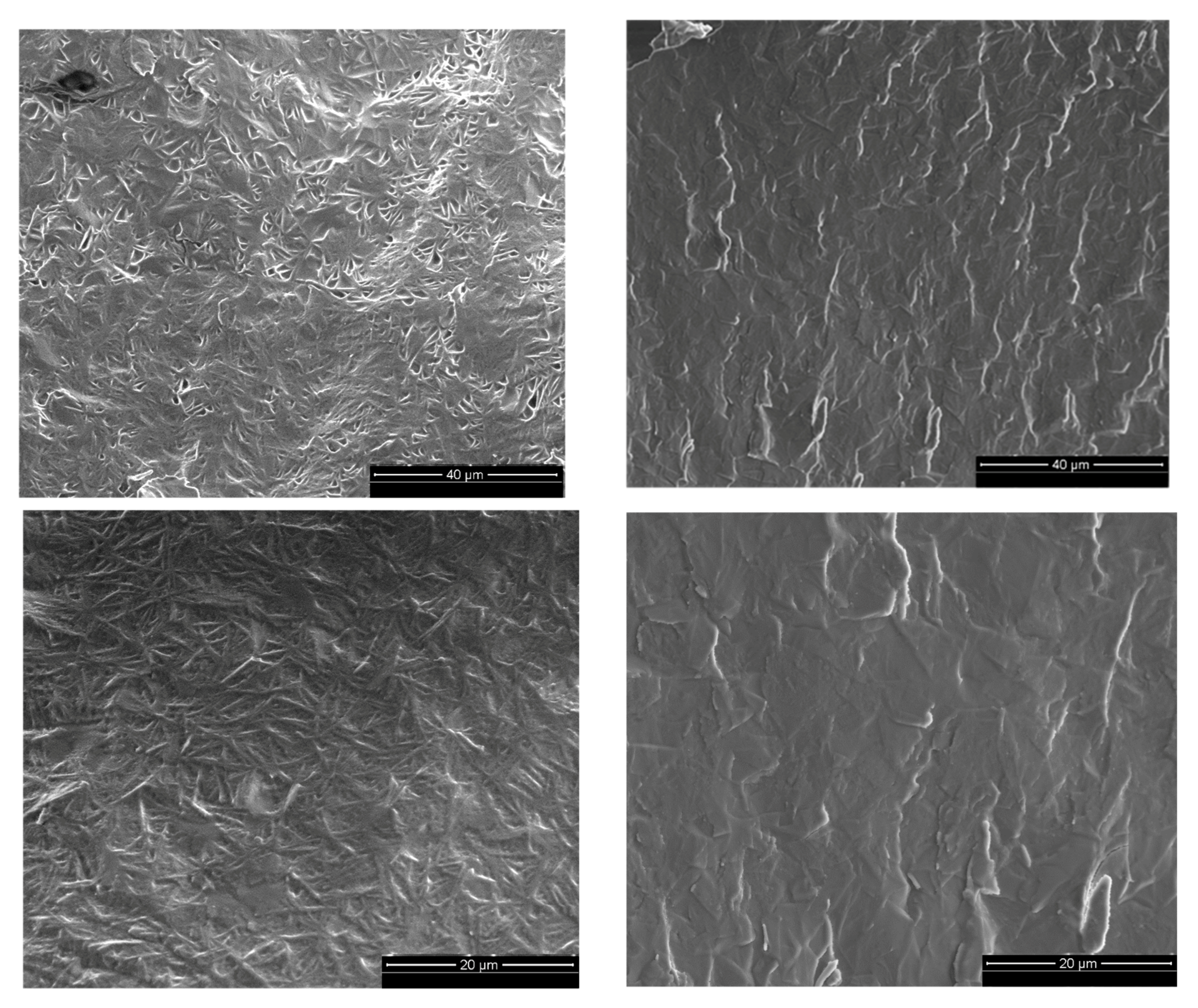 Gels 03 00045 g005 550