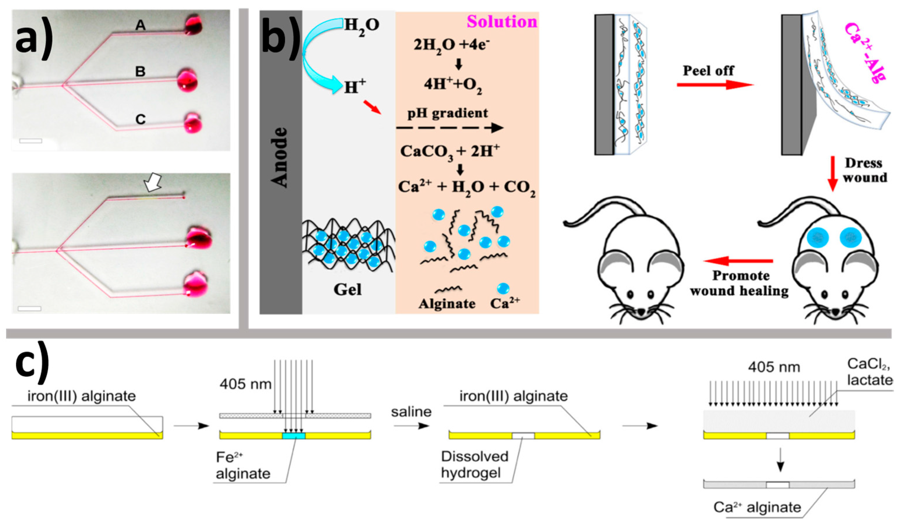 Gels 04 00014 g005 Gels 04 00014 g005