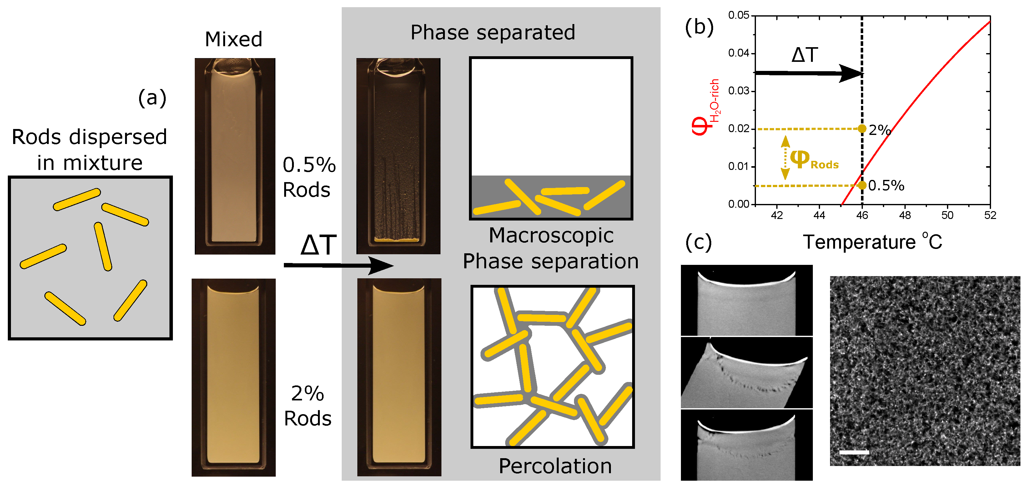 Gels 04 00015 g002 550