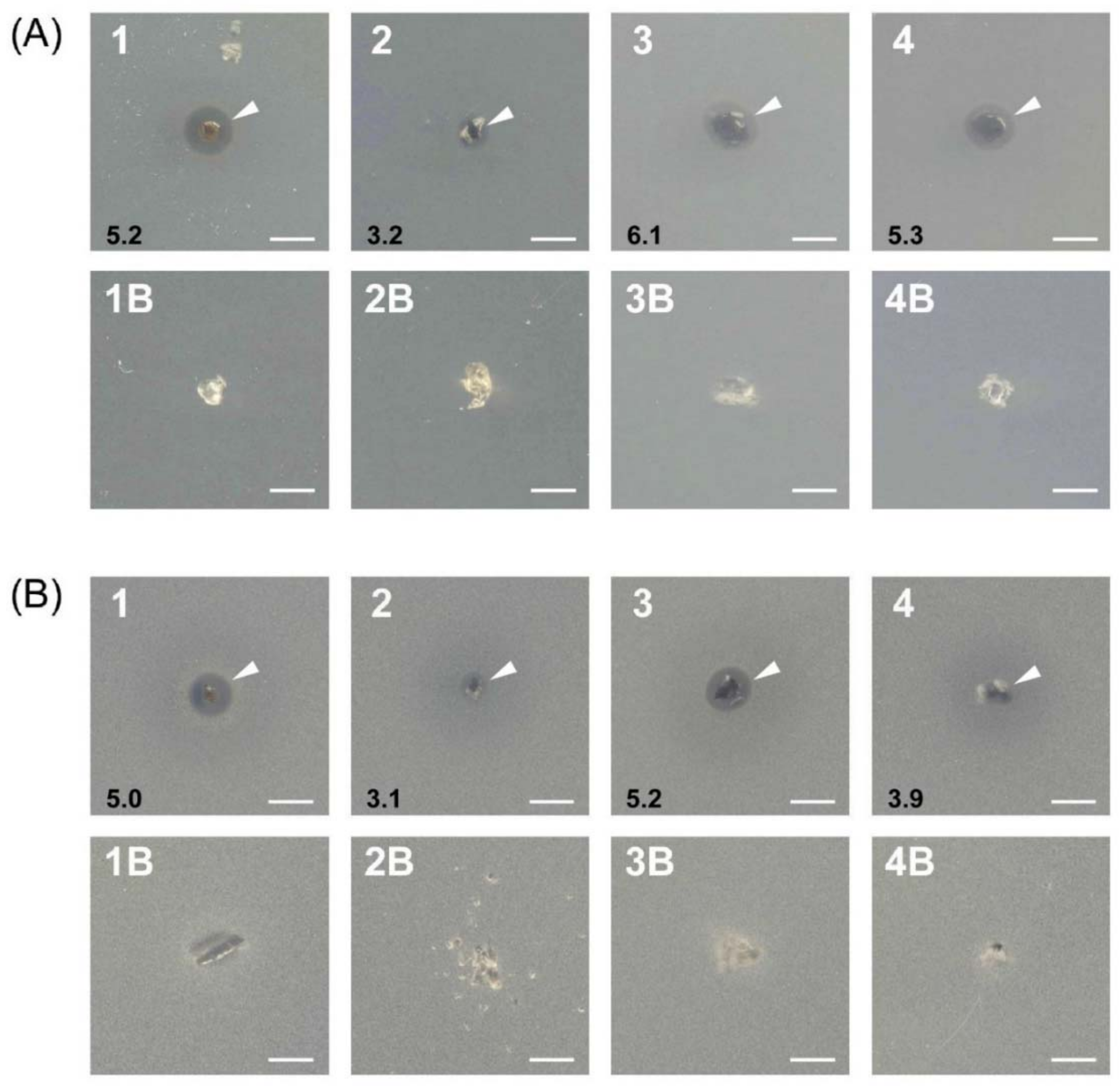 Gels 04 00042 g009a 550