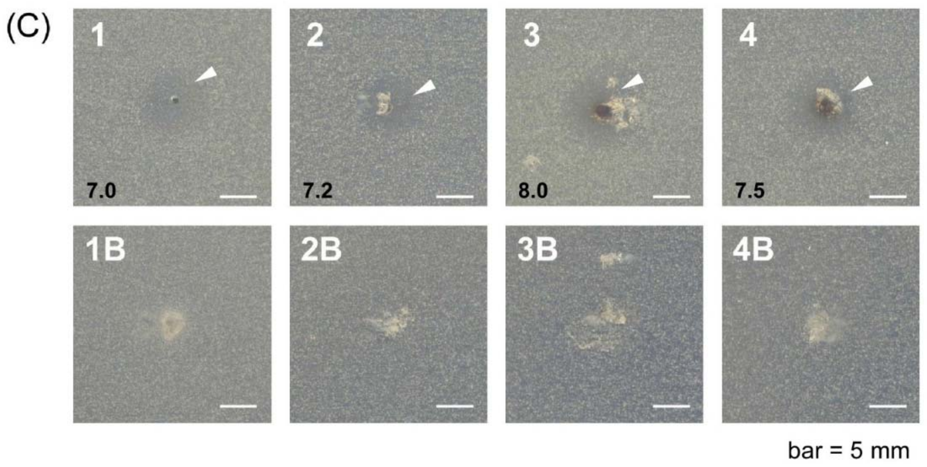 Gels 04 00042 g009b 550