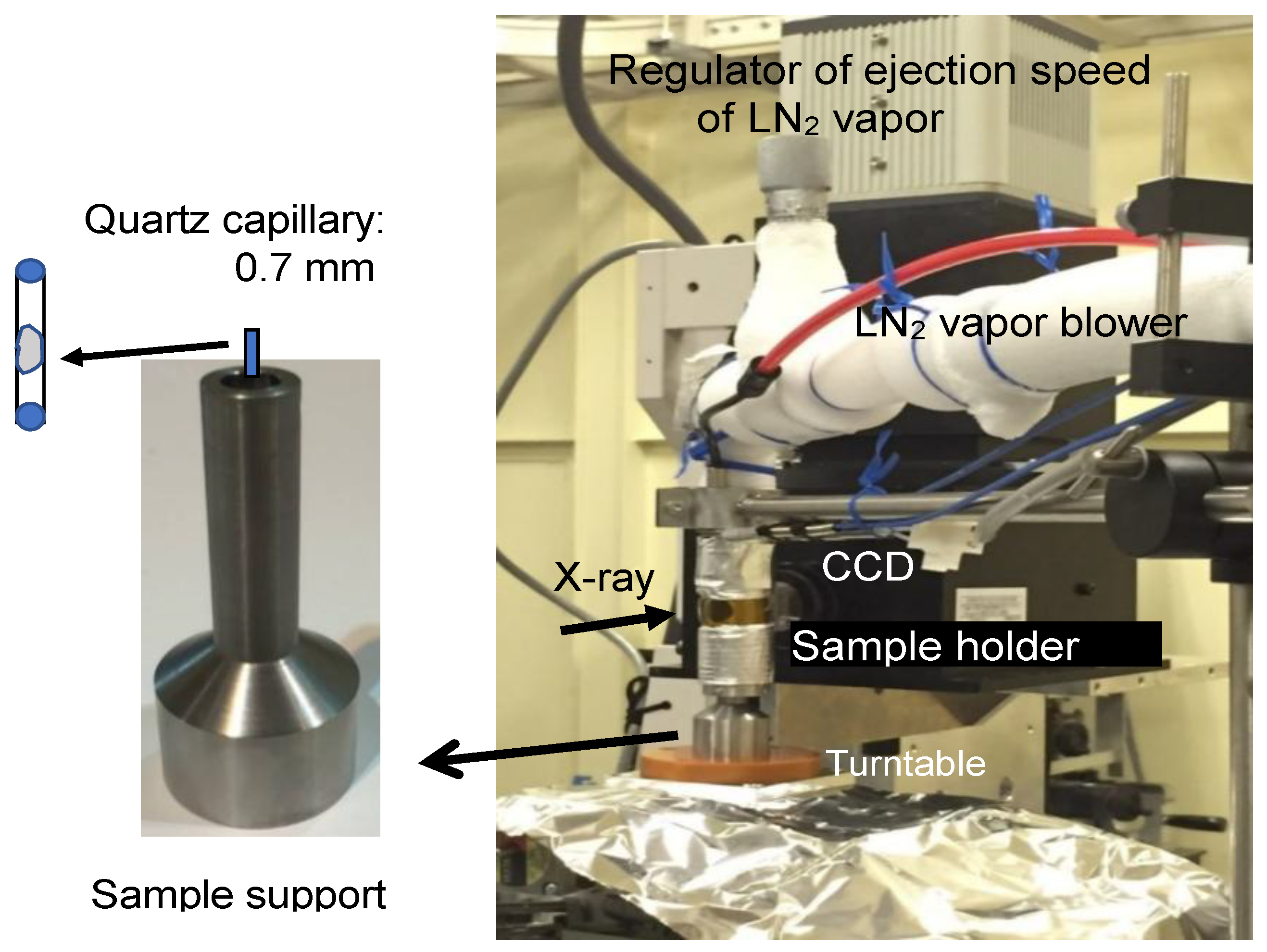 Gels 04 00044 g008 550