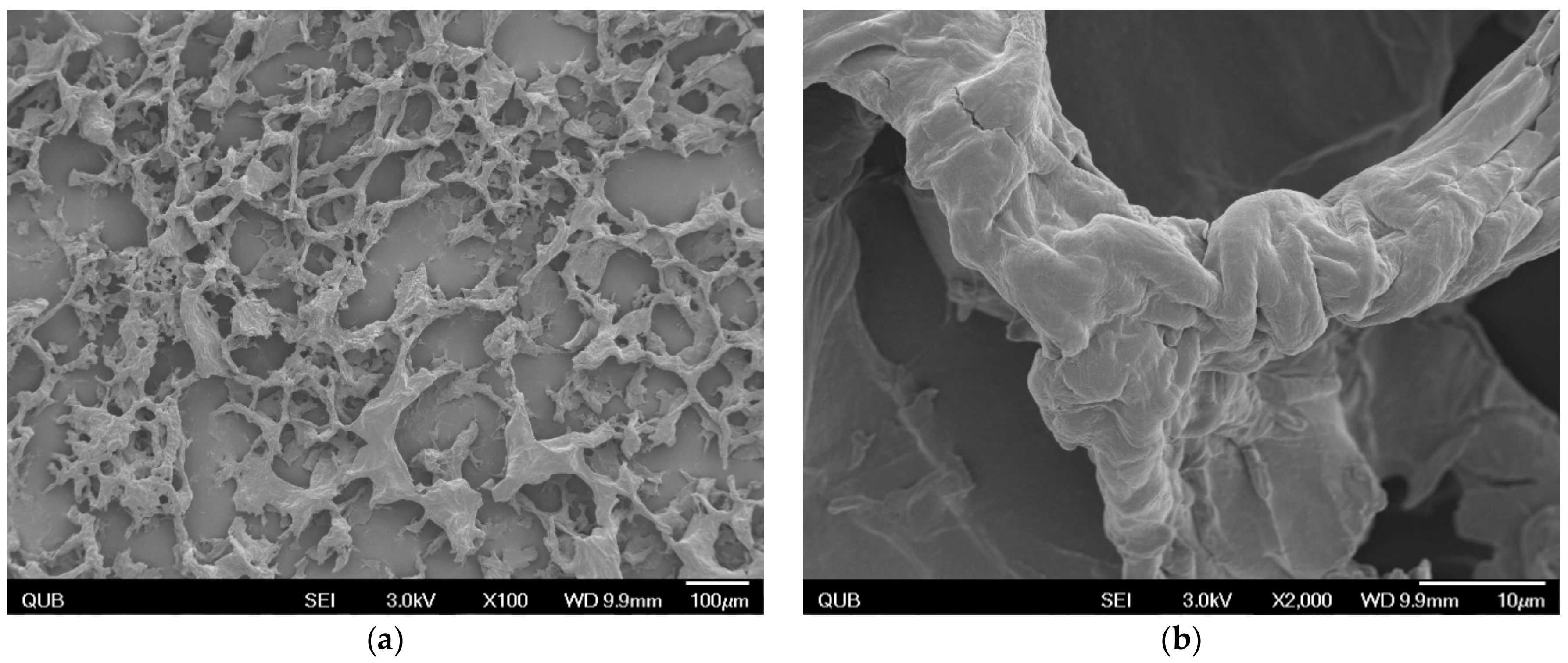 Gels 04 00048 g002