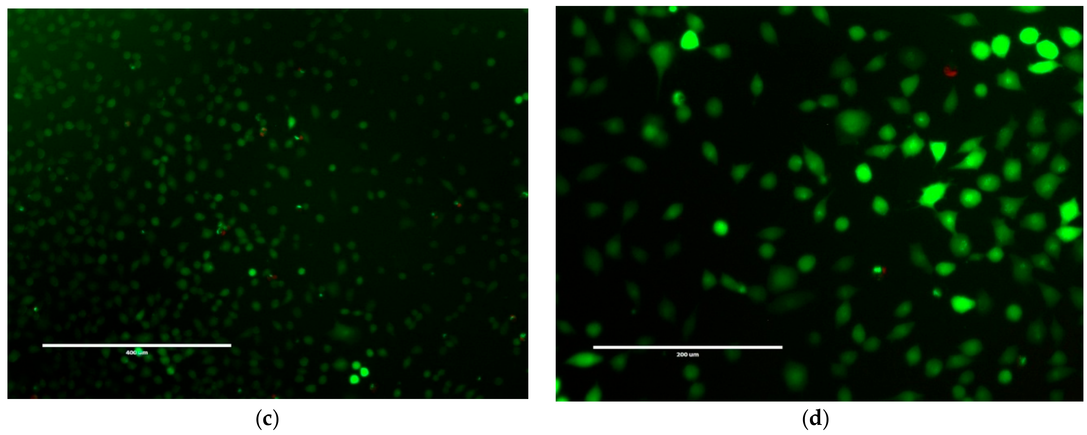 Gels 04 00048 g009b