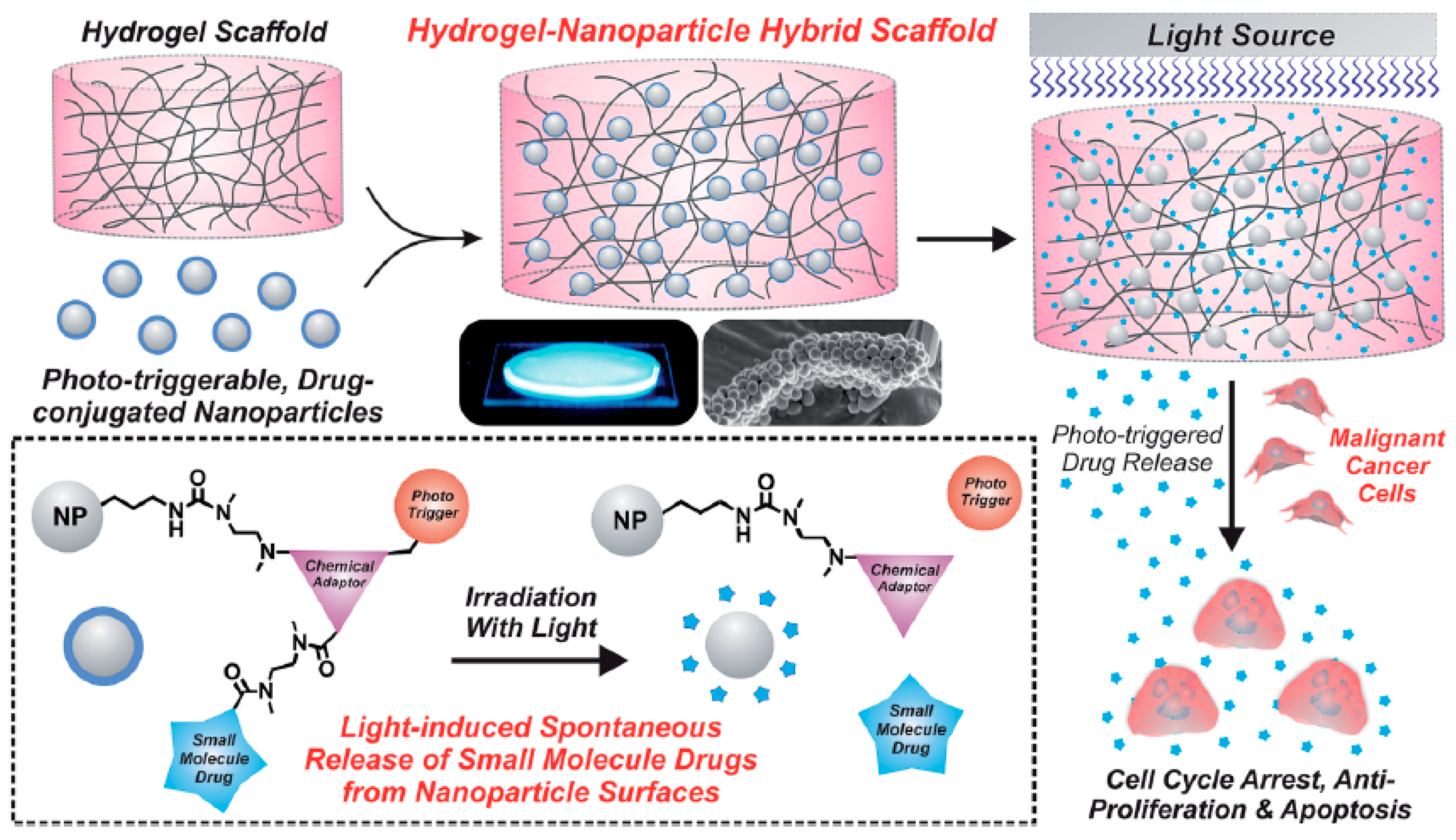 Gels 04 00062 g002 Gels 04 00062 g002