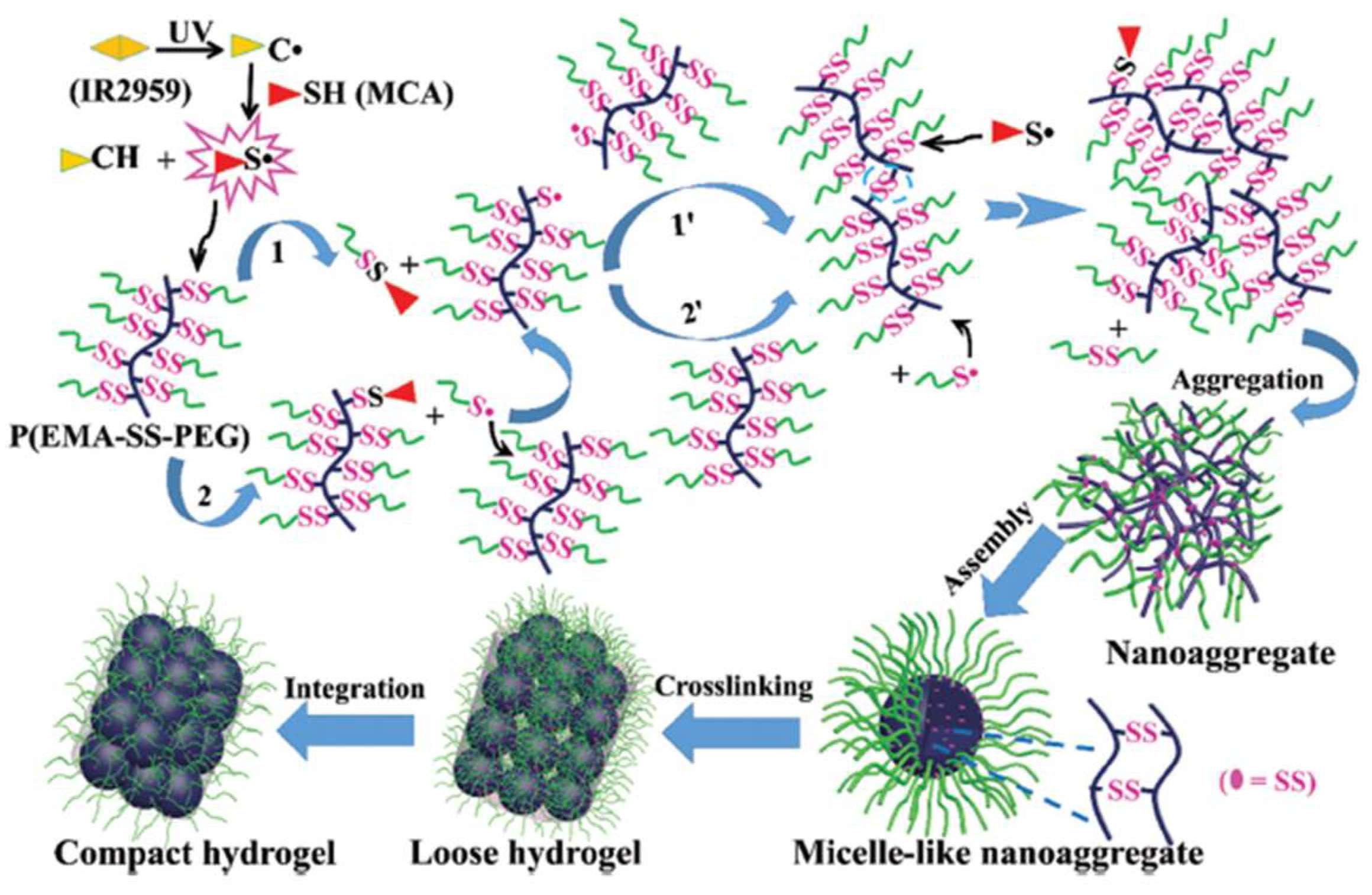 Gels 04 00072 g005 Gels 04 00072 g005