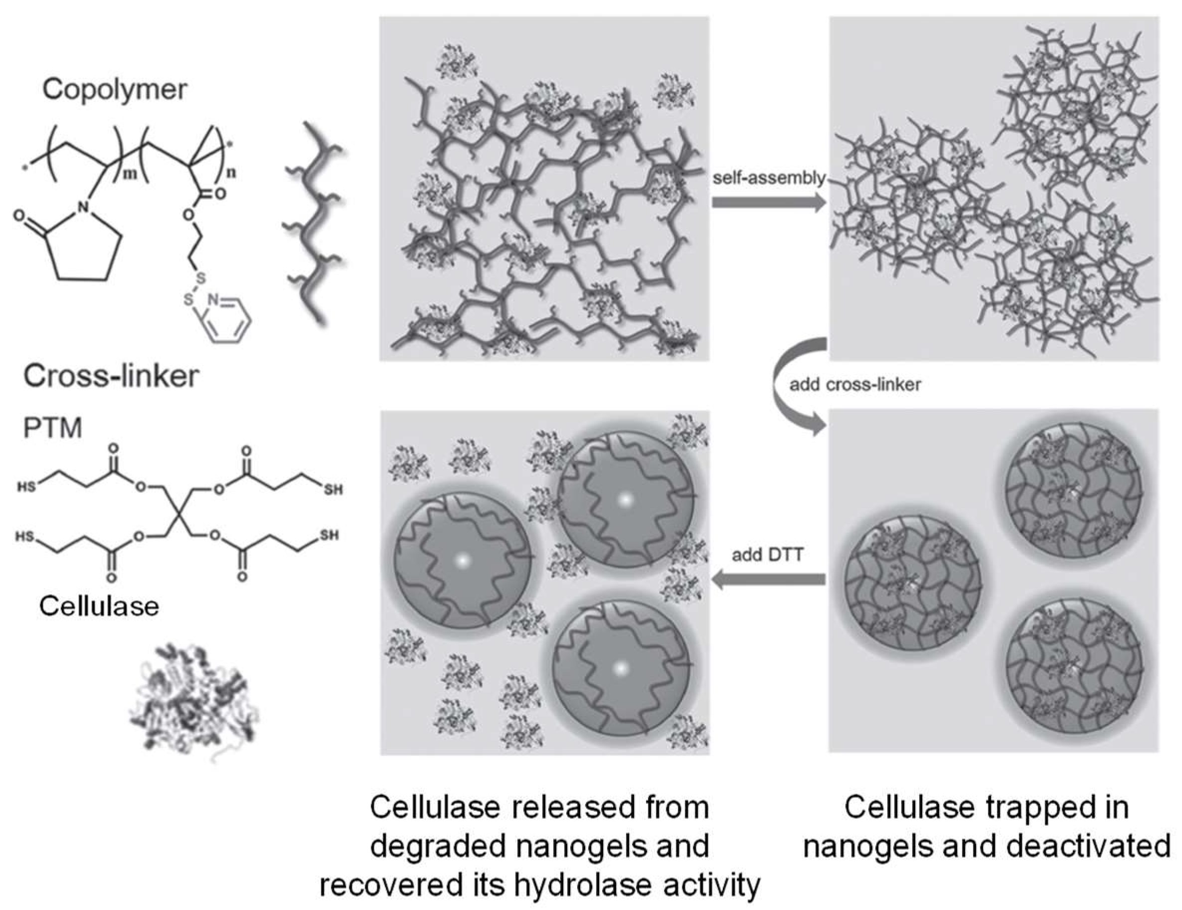 Gels 04 00072 g006 Gels 04 00072 g006