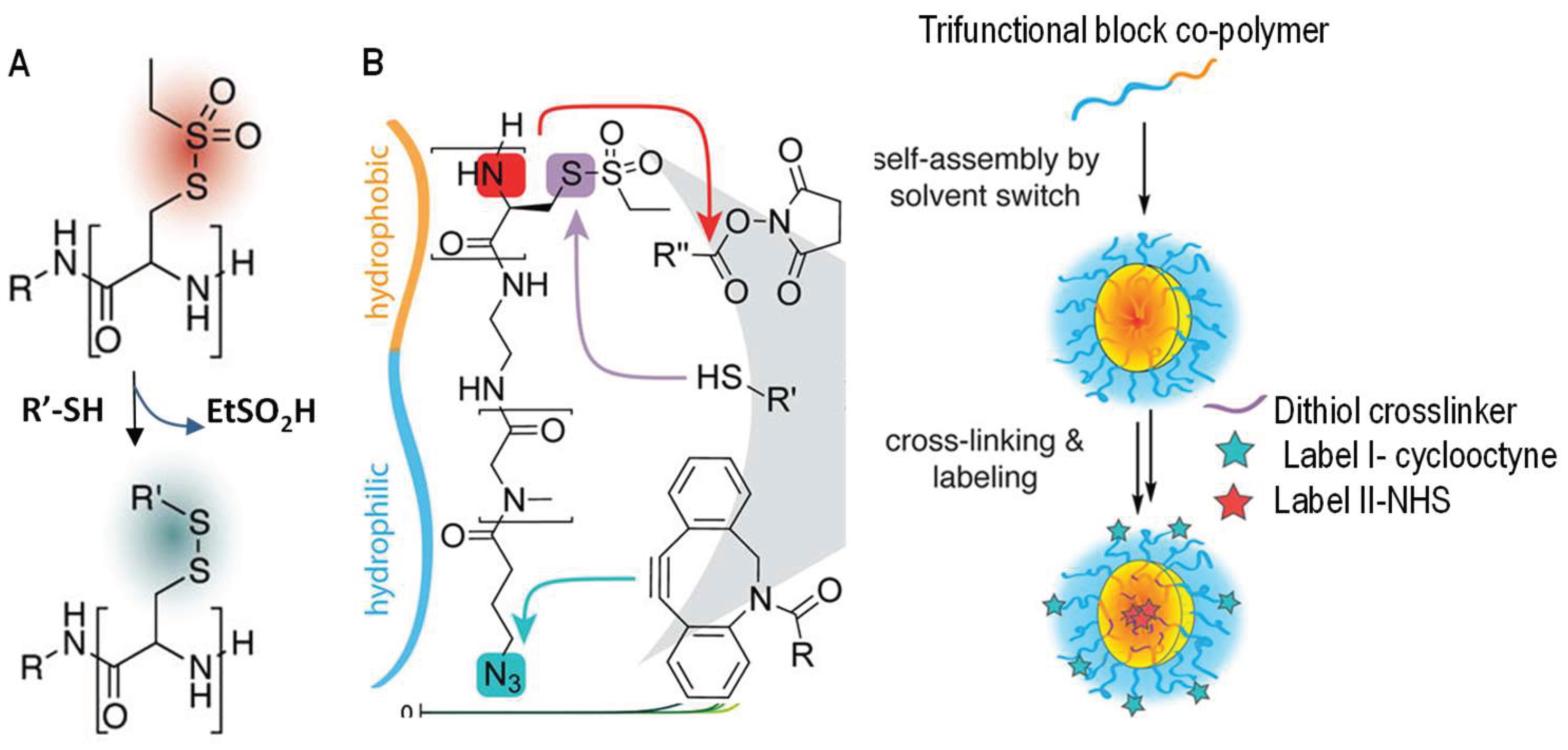 Gels 04 00072 g007 Gels 04 00072 g007