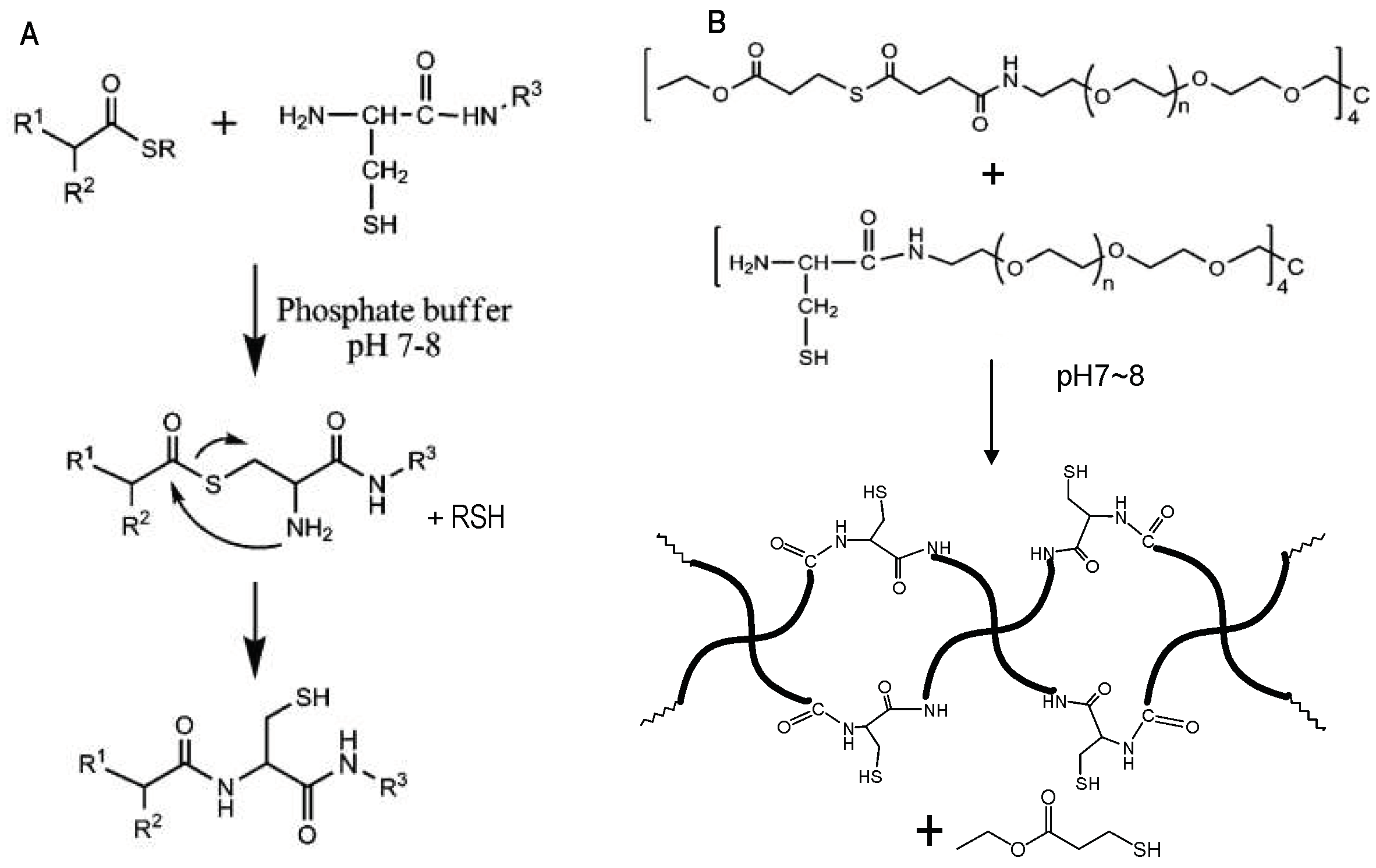 Gels 04 00072 g008 Gels 04 00072 g008
