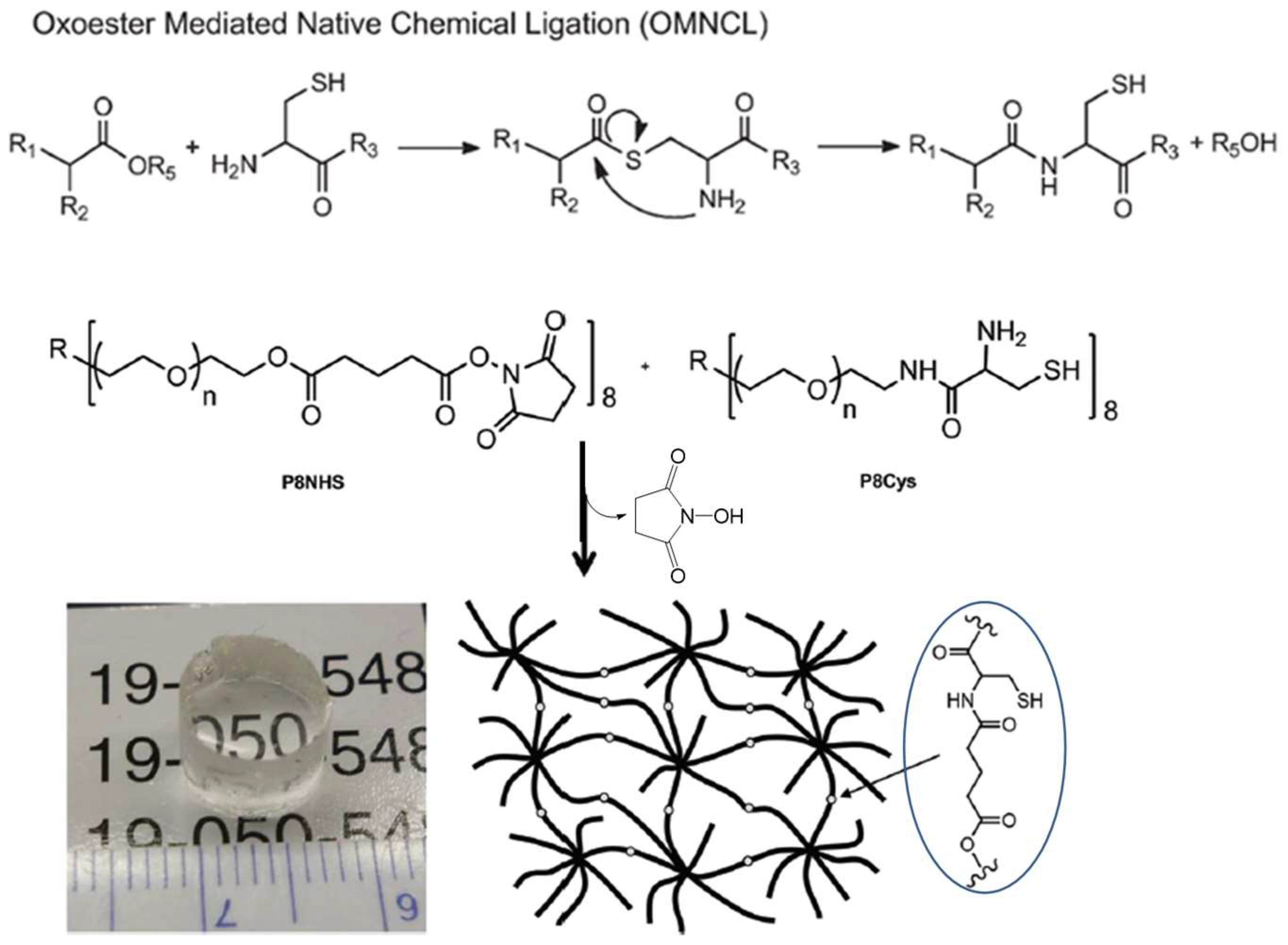 Gels 04 00072 g010 Gels 04 00072 g010