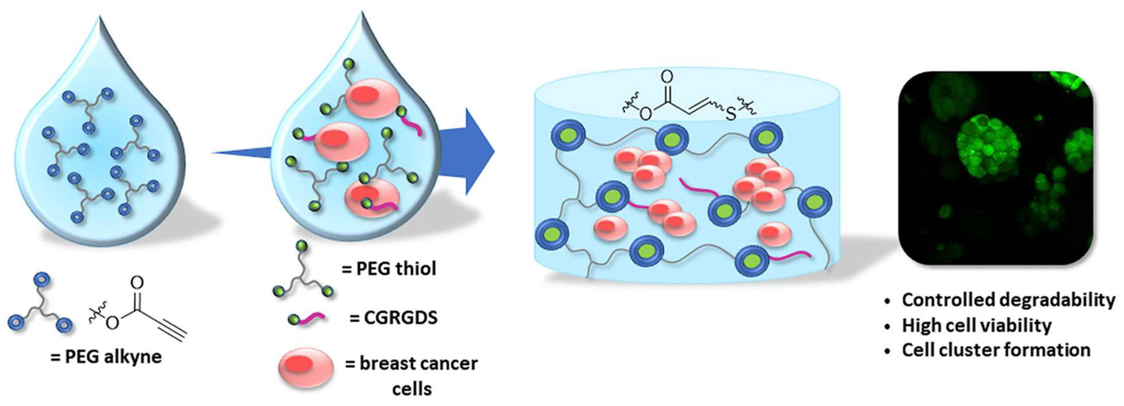 Gels 04 00072 g019 Gels 04 00072 g019