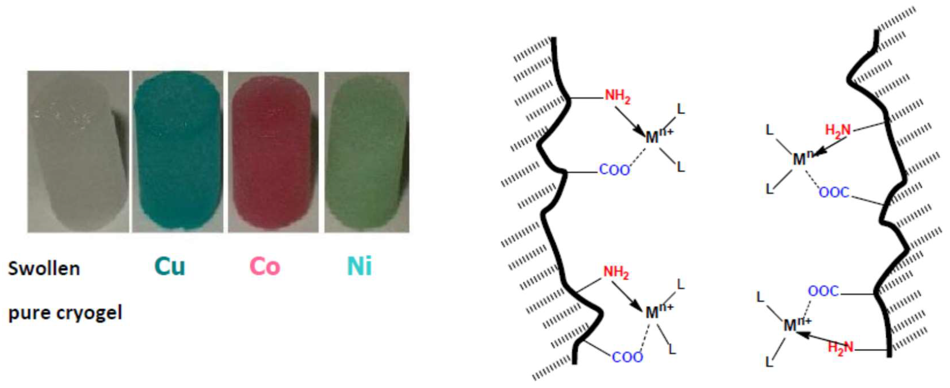Gels 05 00008 g011 Gels 05 00008 g011