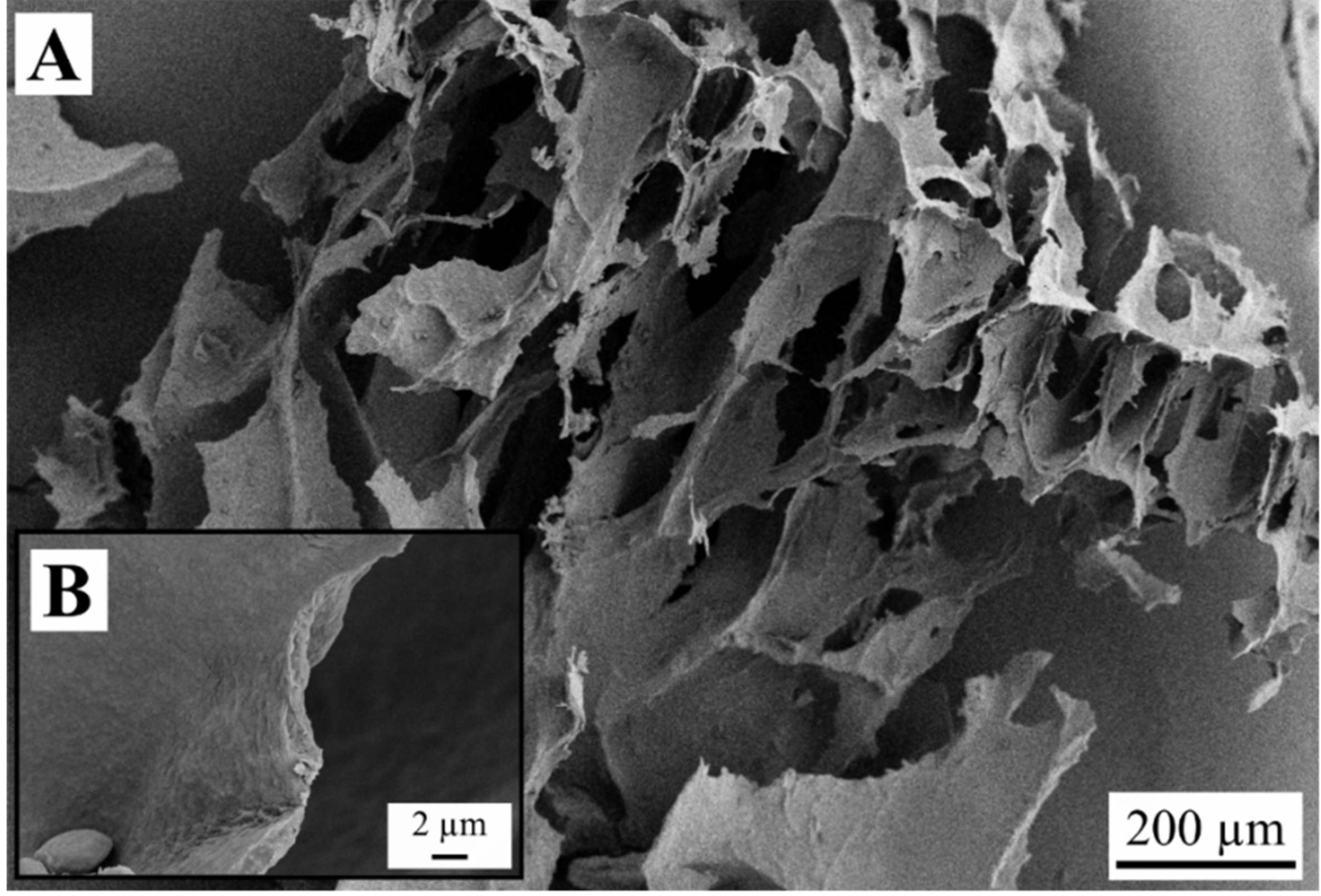 Gels 05 00012 g004 550