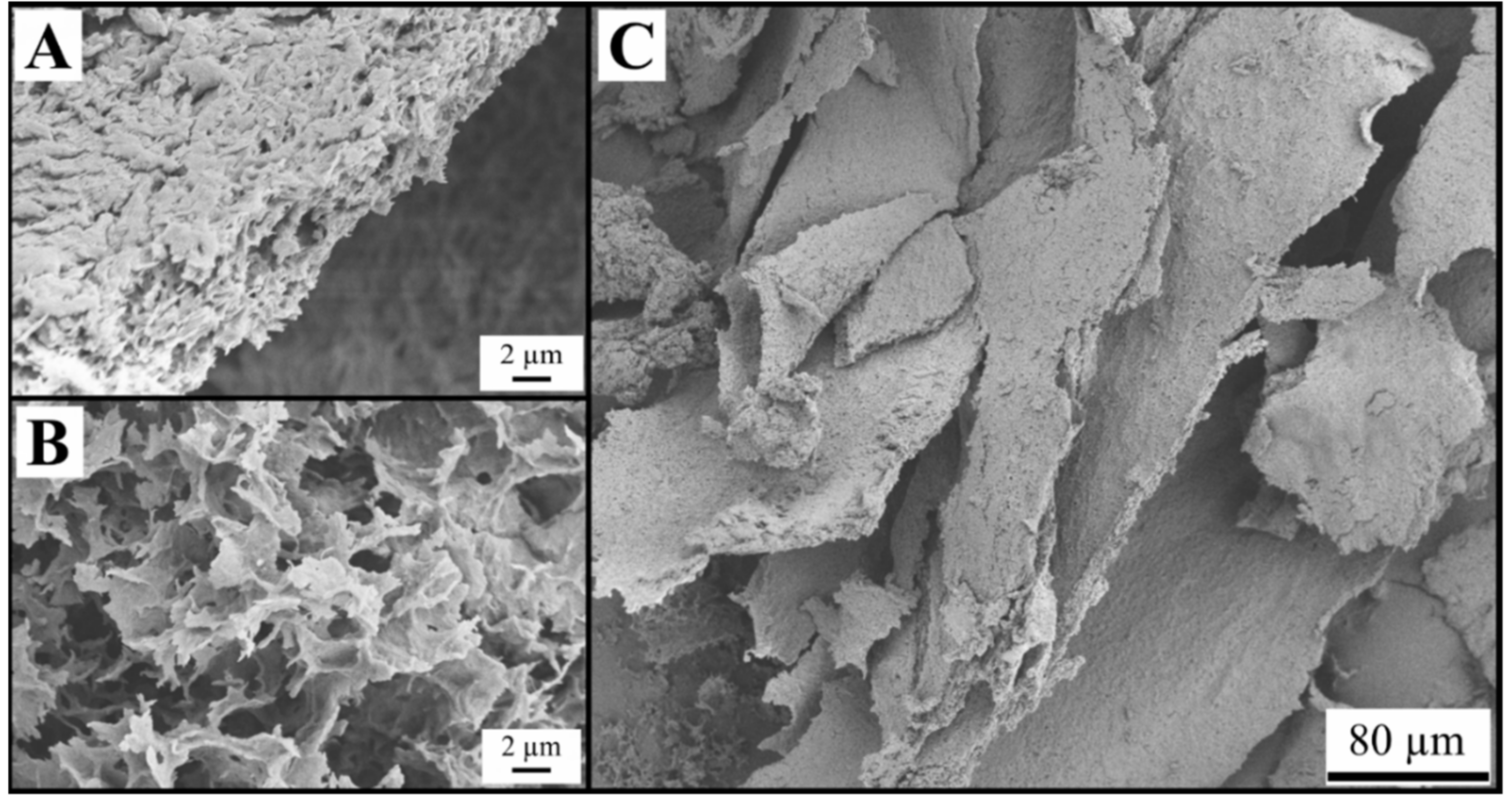 Gels 05 00012 g005 550