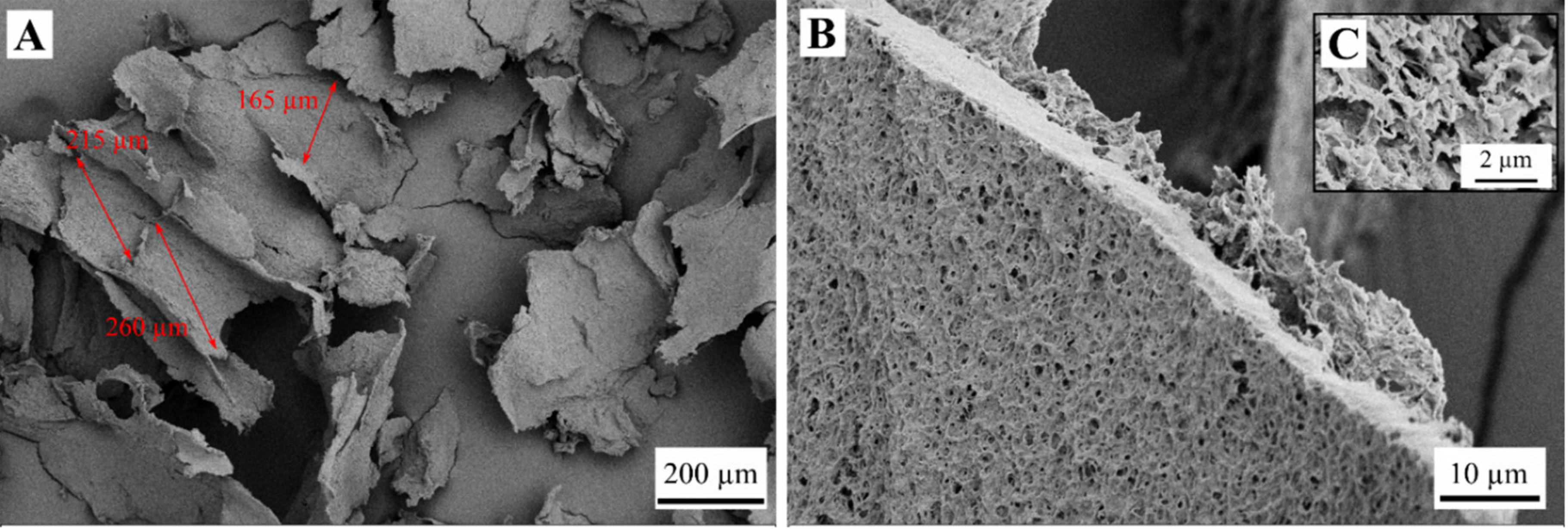 Gels 05 00012 g007 550