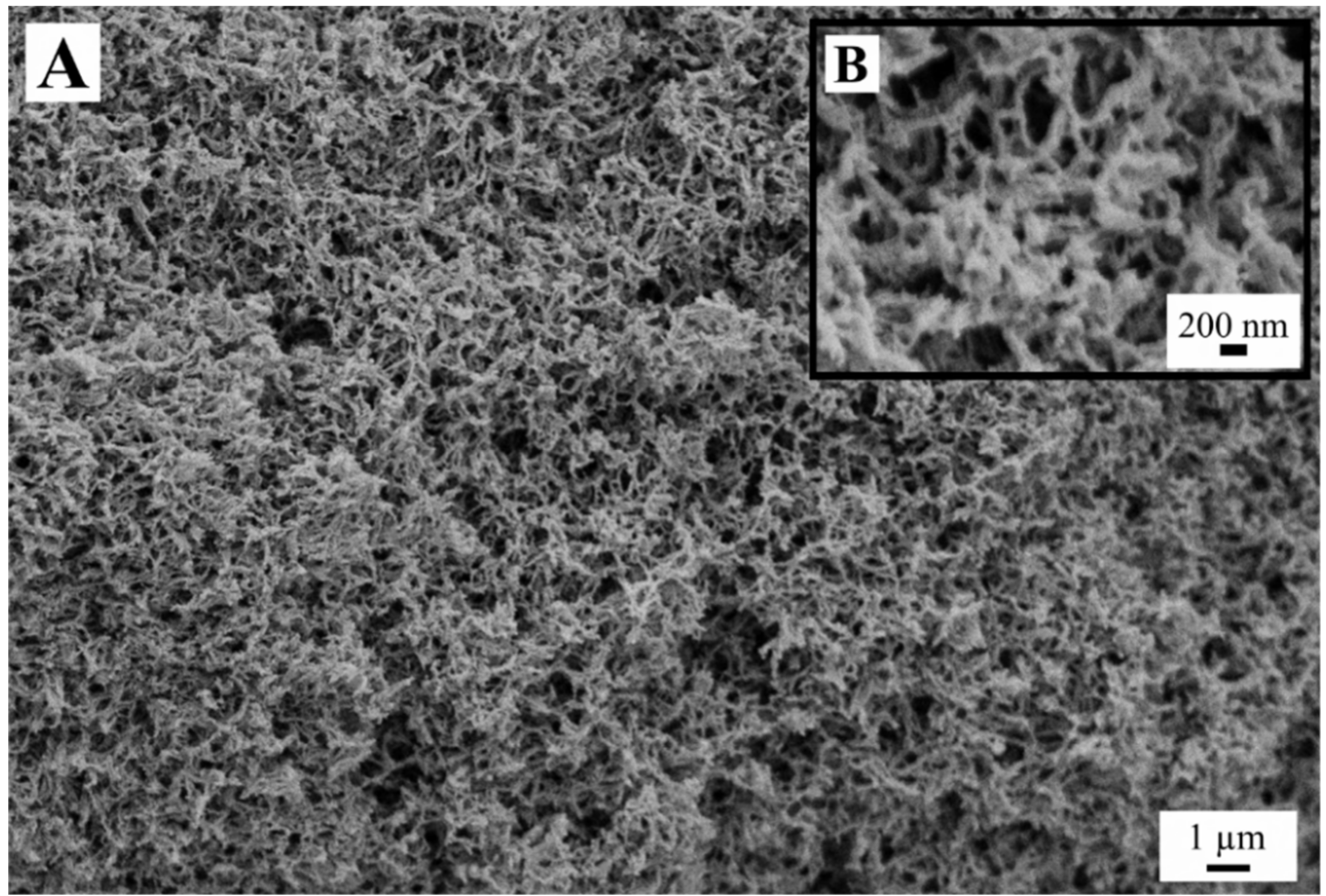 Gels 05 00012 g009 550