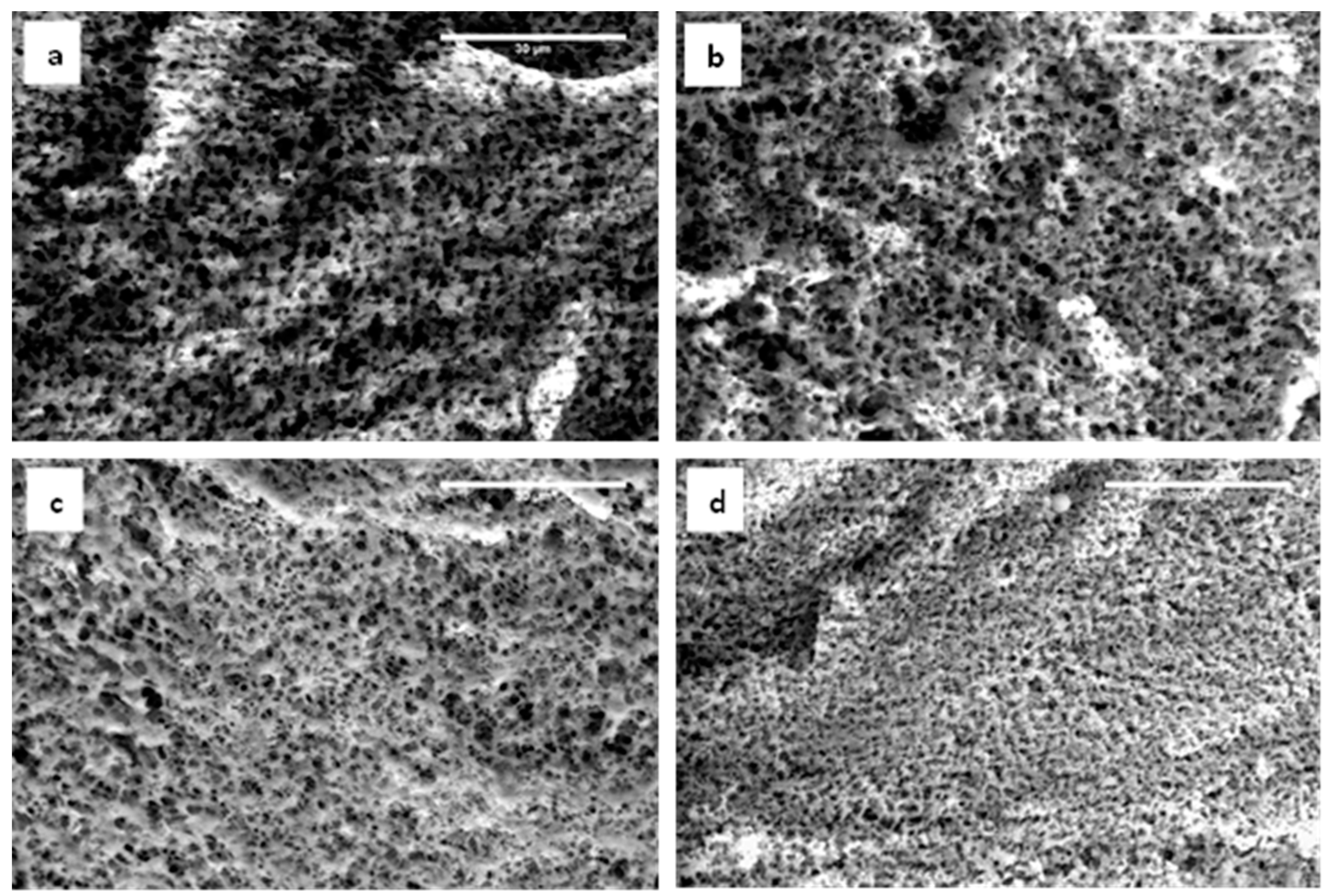 Gels 05 00016 g006 Gels 05 00016 g006