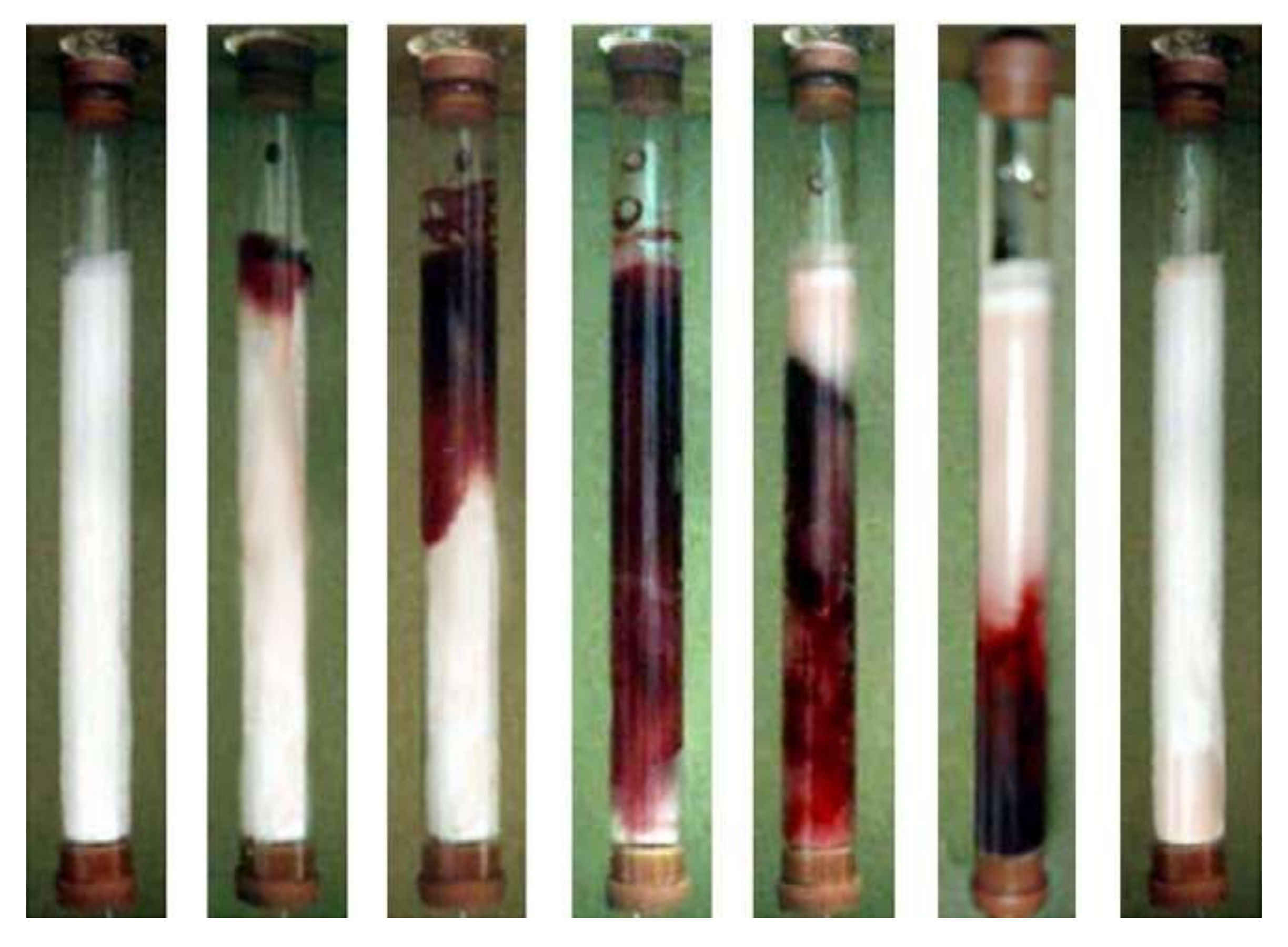 Gels 05 00020 g003 Gels 05 00020 g003