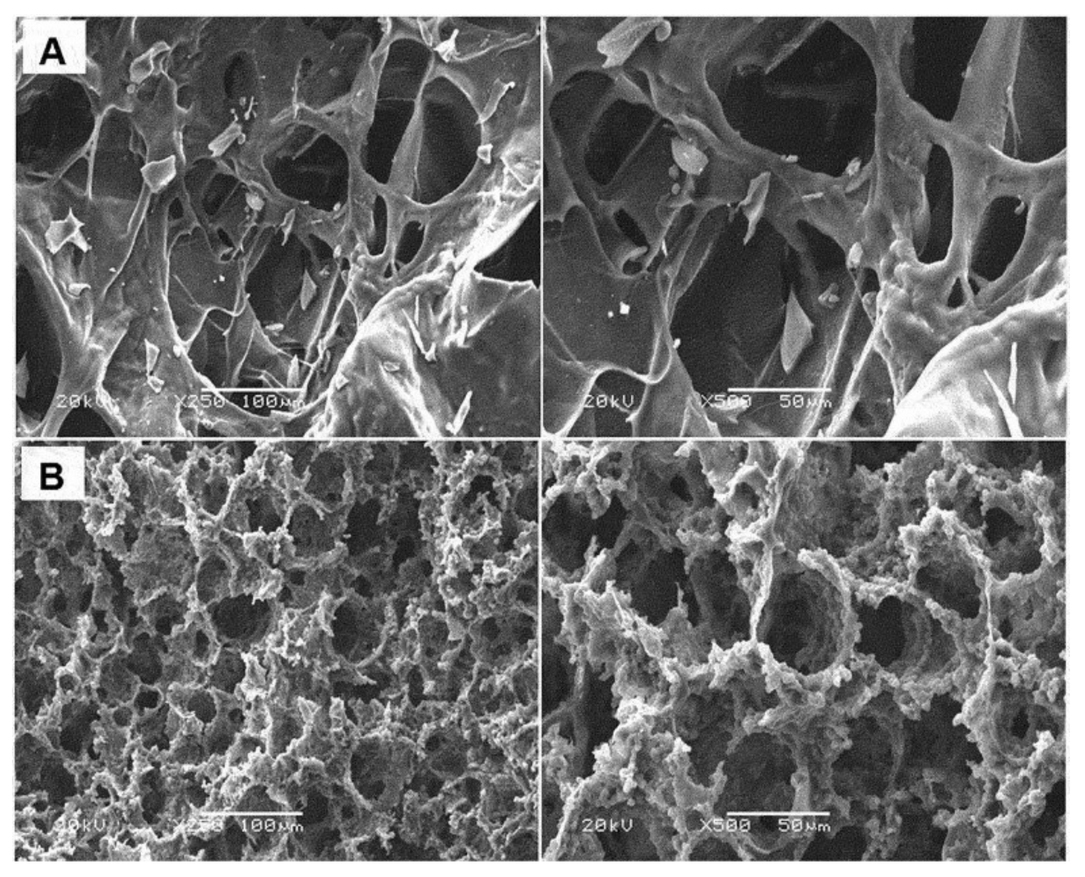 Gels 05 00020 g004 Gels 05 00020 g004