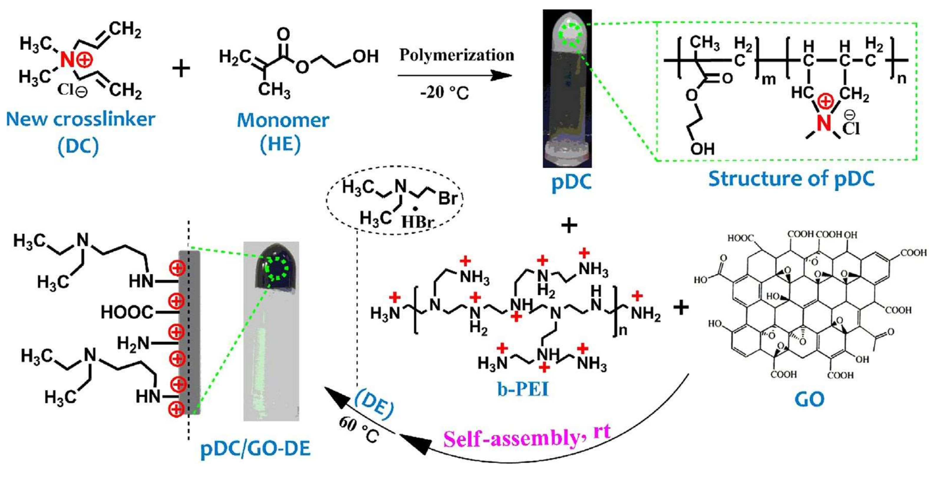 Gels 05 00020 g009 Gels 05 00020 g009